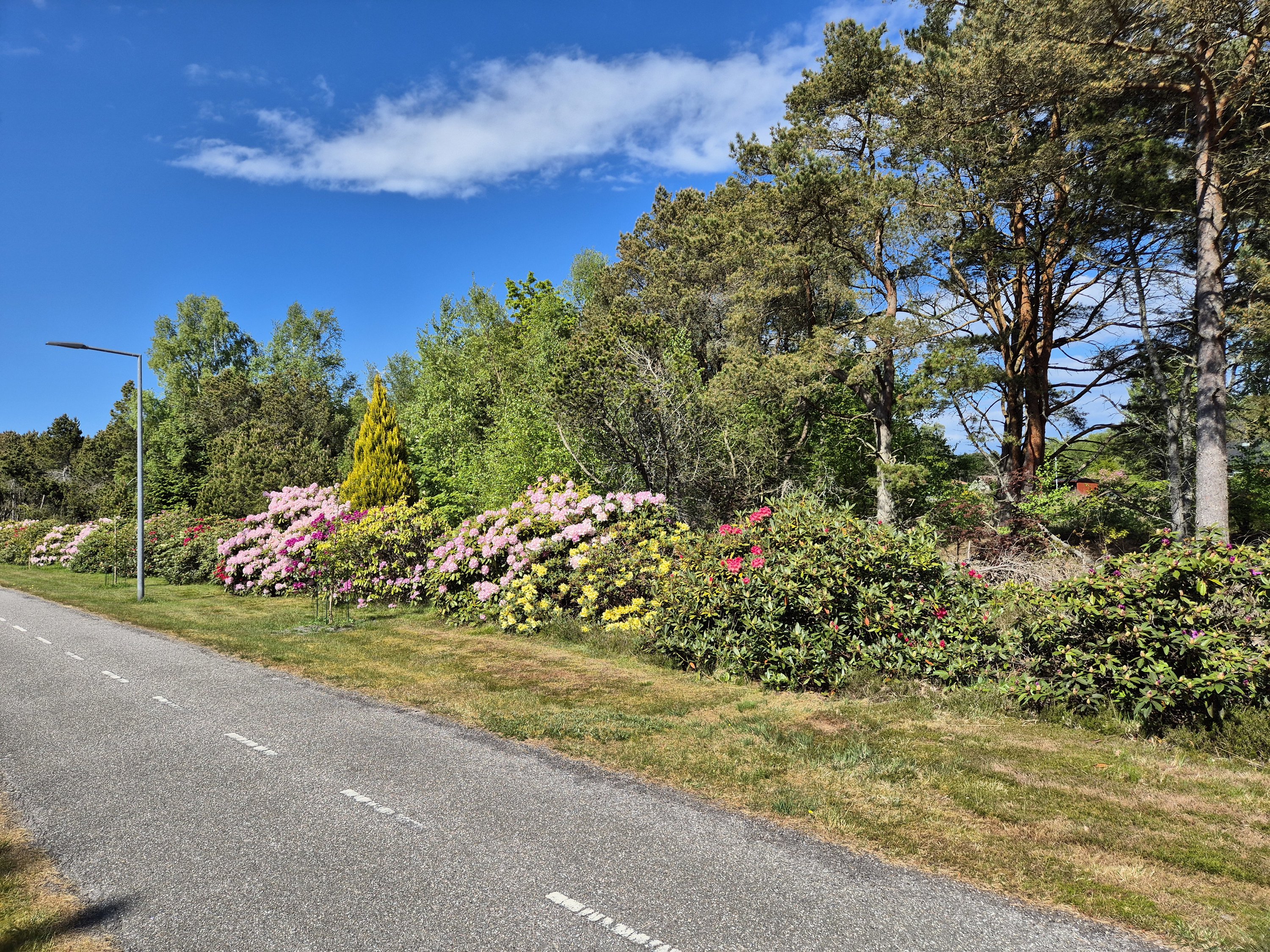 Fremhævet  billede i fuldskærmstilstand. Billede af Østerby Havnegade 52, Østerby Havn, 9940 Læsø