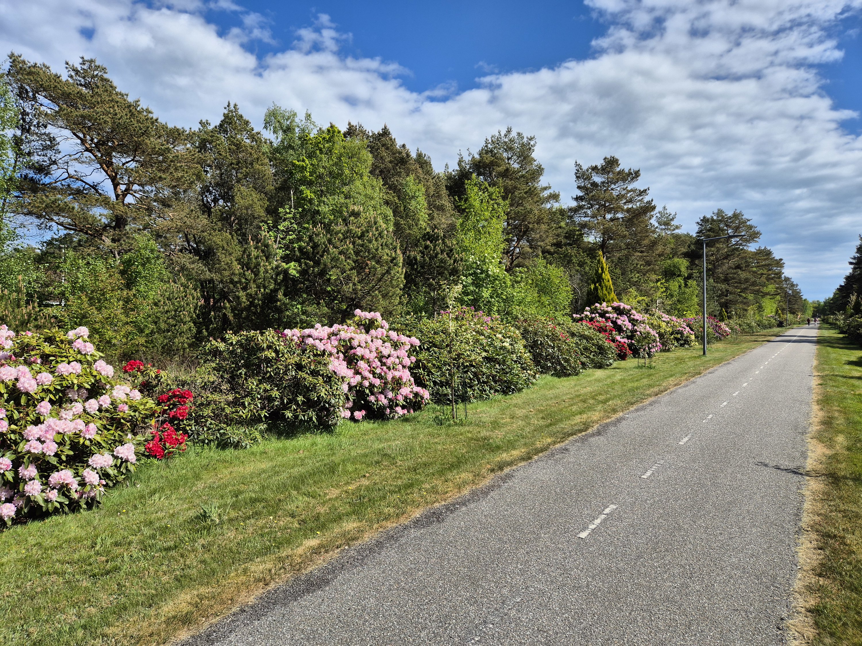 Fremhævet  billede i fuldskærmstilstand. Billede af Østerby Havnegade 52, Østerby Havn, 9940 Læsø