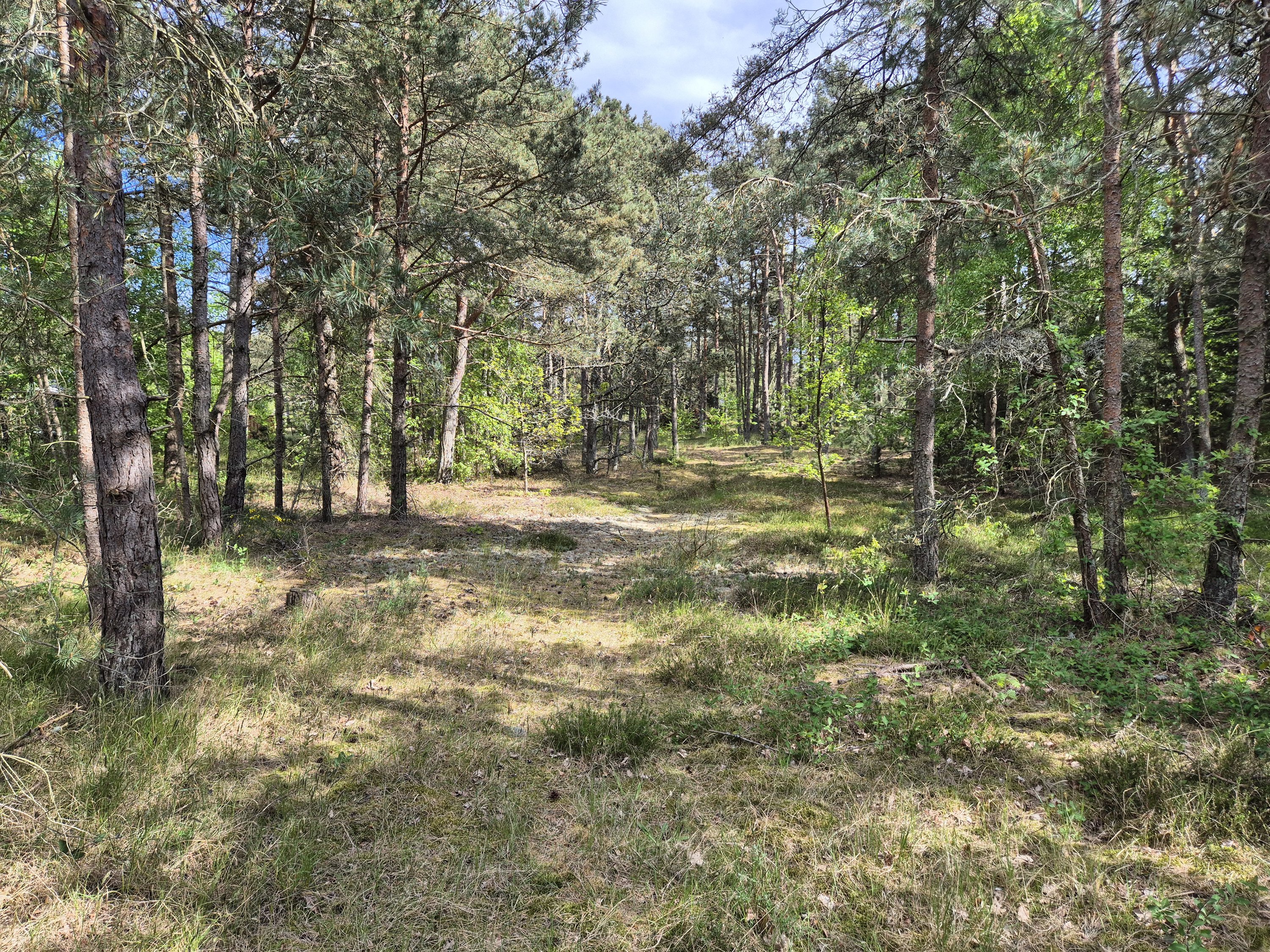 Fremhævet  billede i fuldskærmstilstand. Billede af Gransangervej 1, Østerby Havn, 9940 Læsø