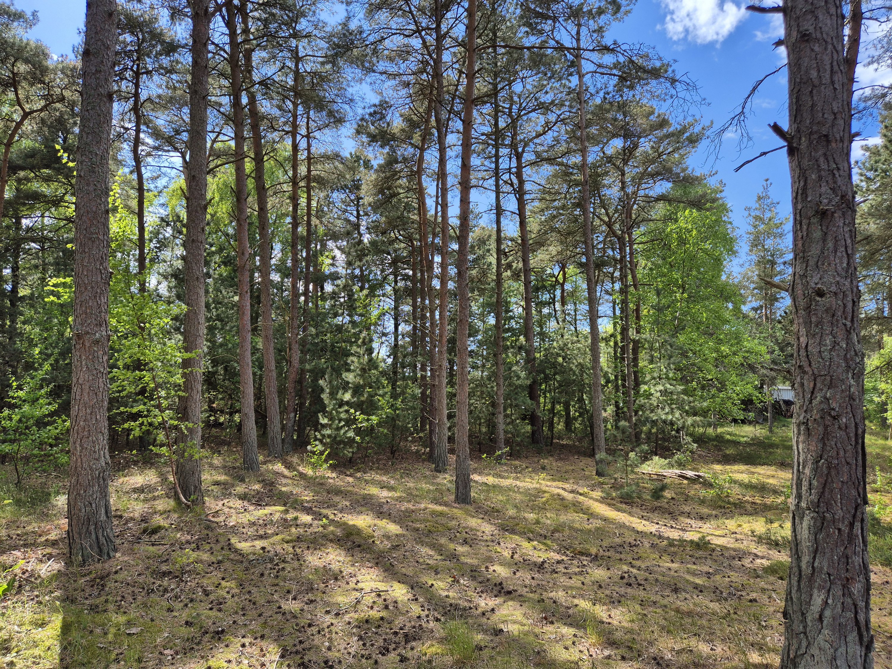 Miniaturebillede 1: . Billede af Gransangervej 1, Østerby Havn, 9940 Læsø