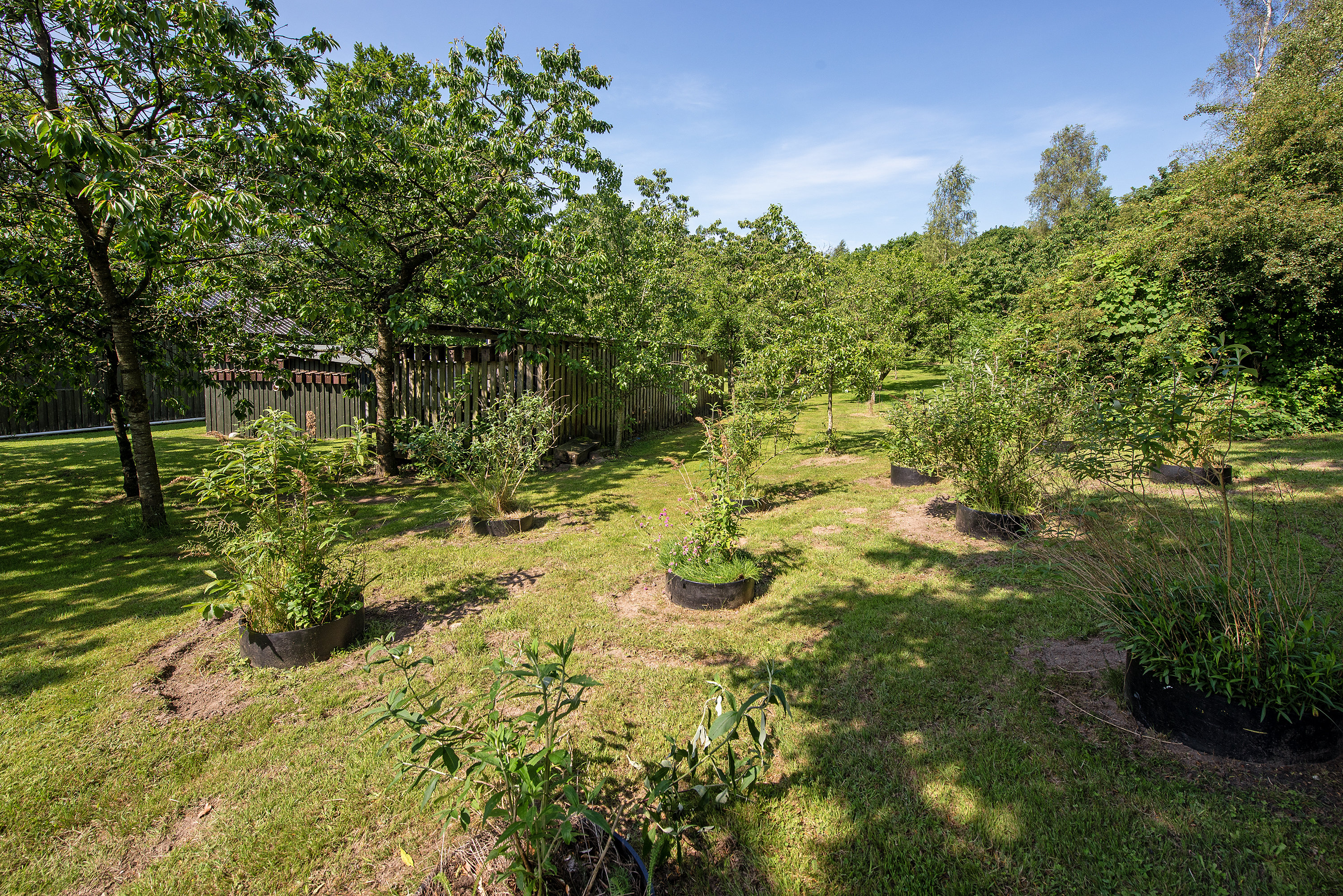 Fremhævet  billede i fuldskærmstilstand. Billede af Søndergade 163, Lunghøj, 5591 Gelsted