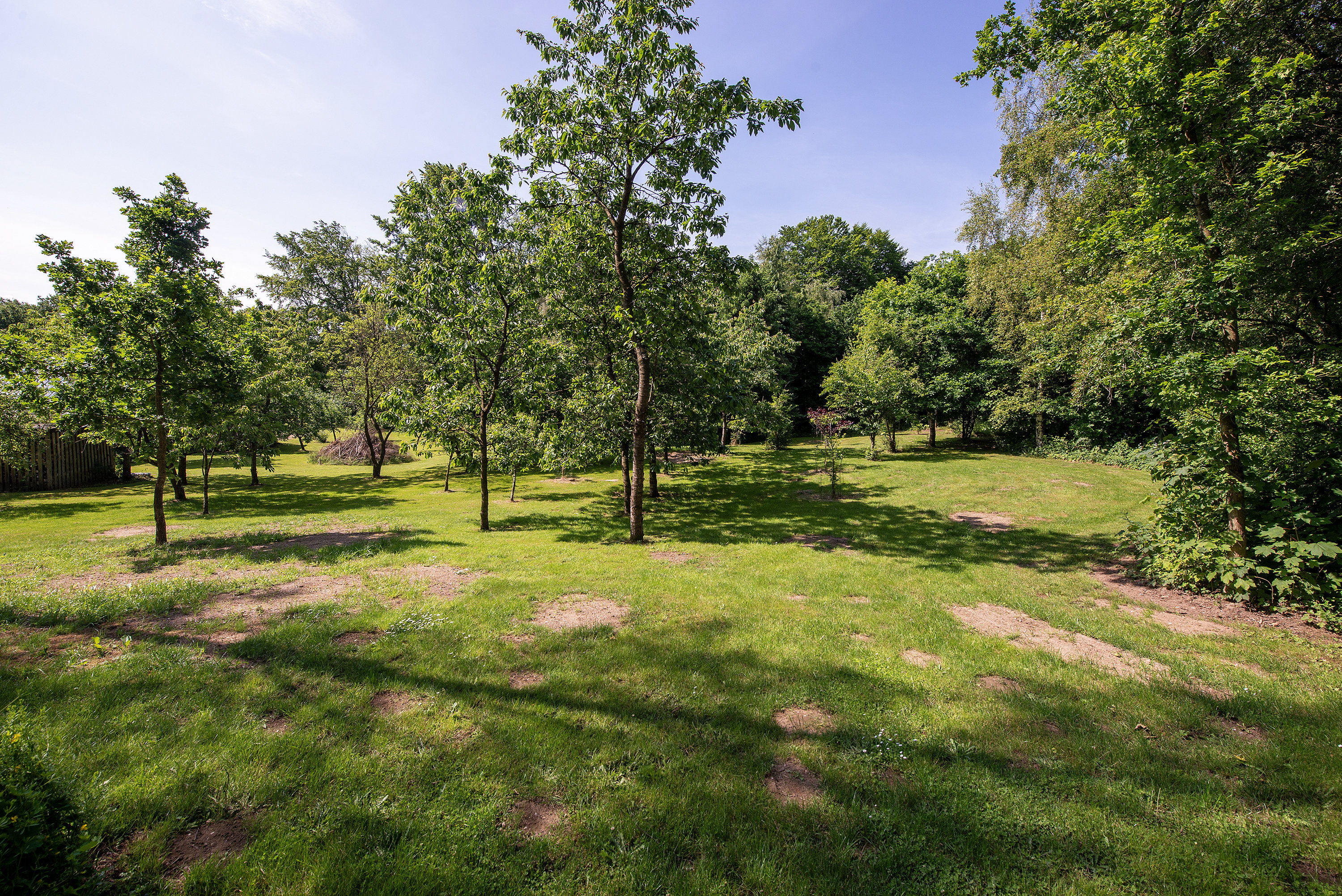 Miniaturebillede 1: . Billede af Søndergade 163, Lunghøj, 5591 Gelsted