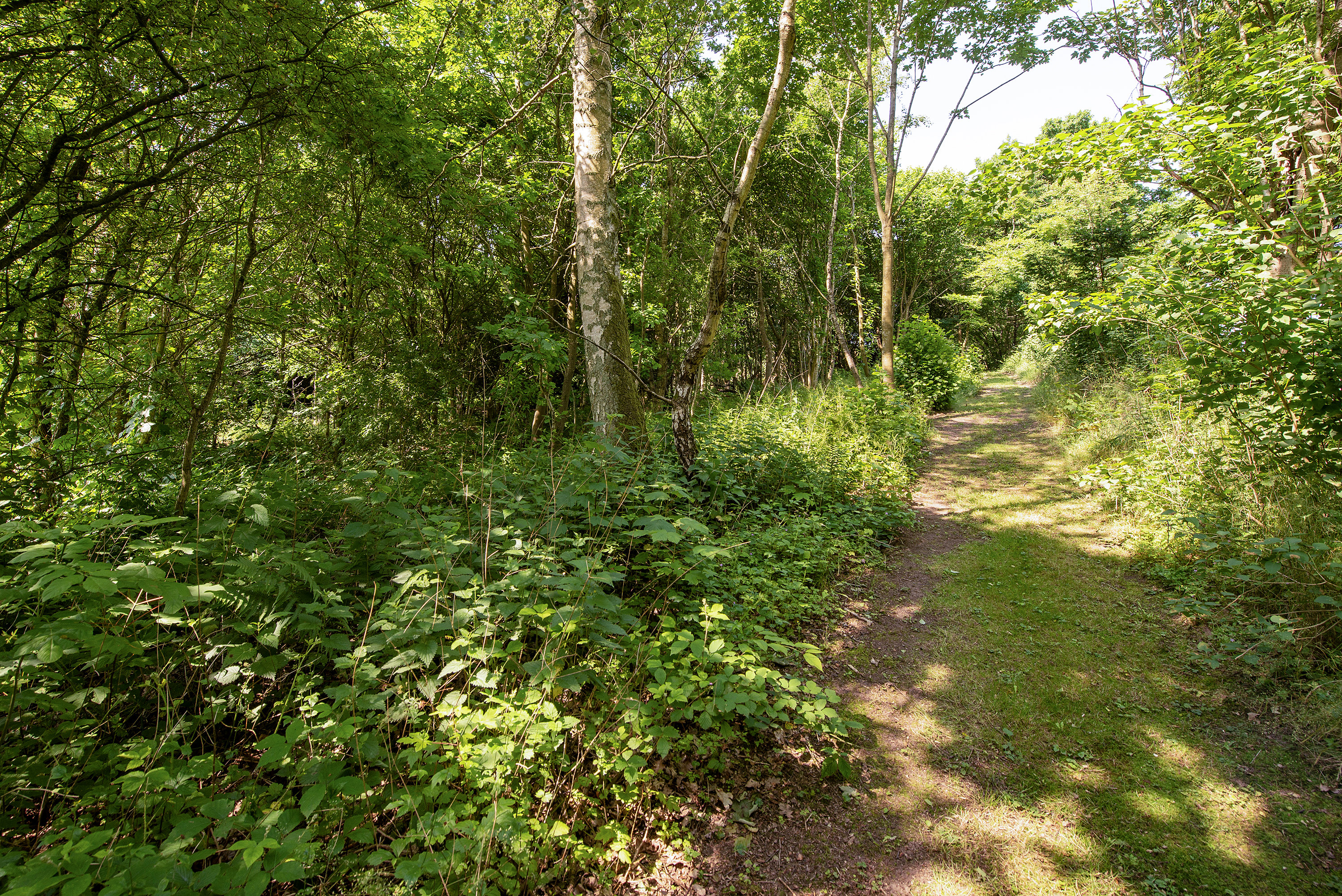 Fremhævet  billede i fuldskærmstilstand. Billede af Søndergade 163, Lunghøj, 5591 Gelsted