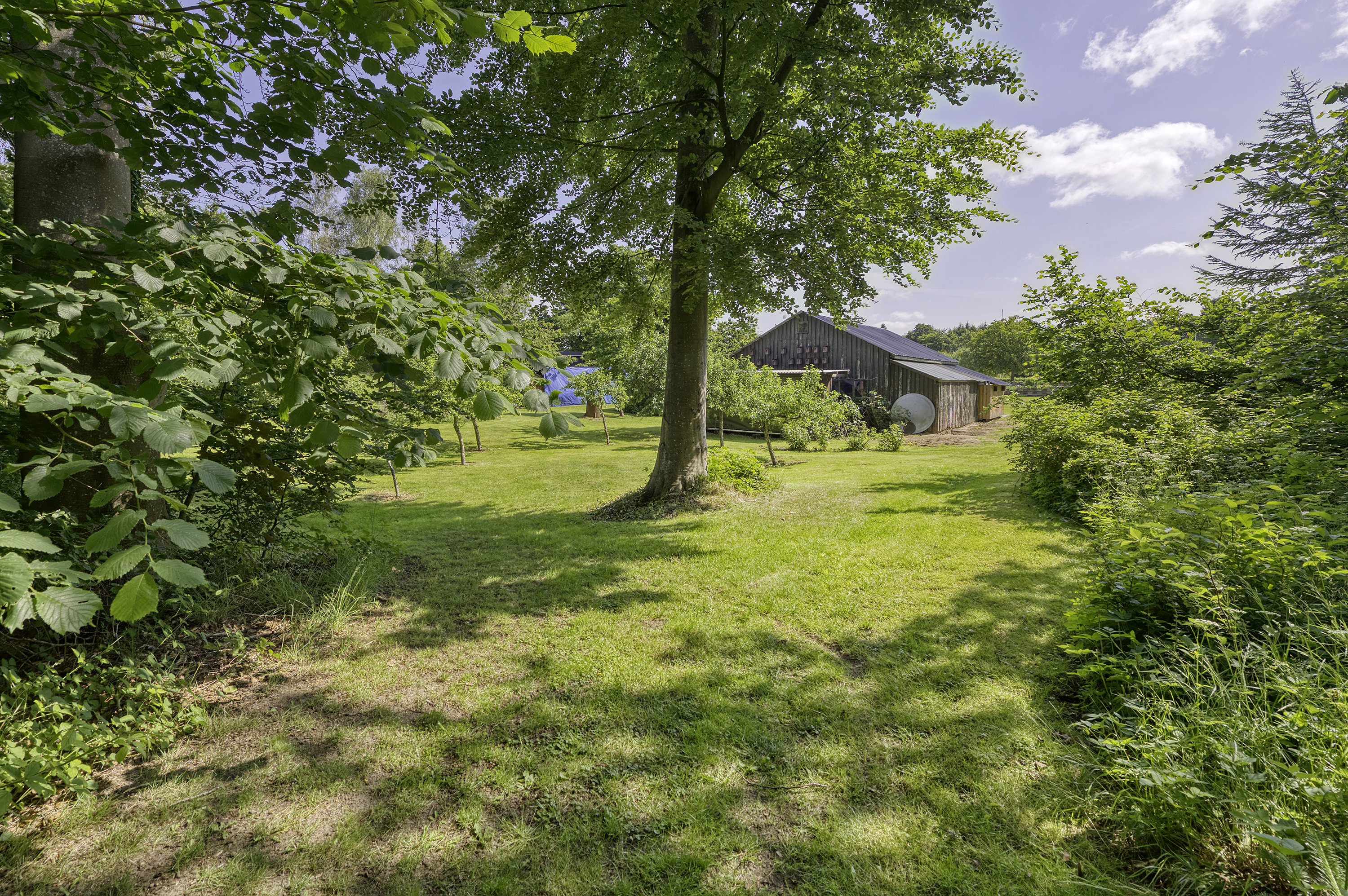 Fremhævet  billede i fuldskærmstilstand. Billede af Søndergade 163, Lunghøj, 5591 Gelsted