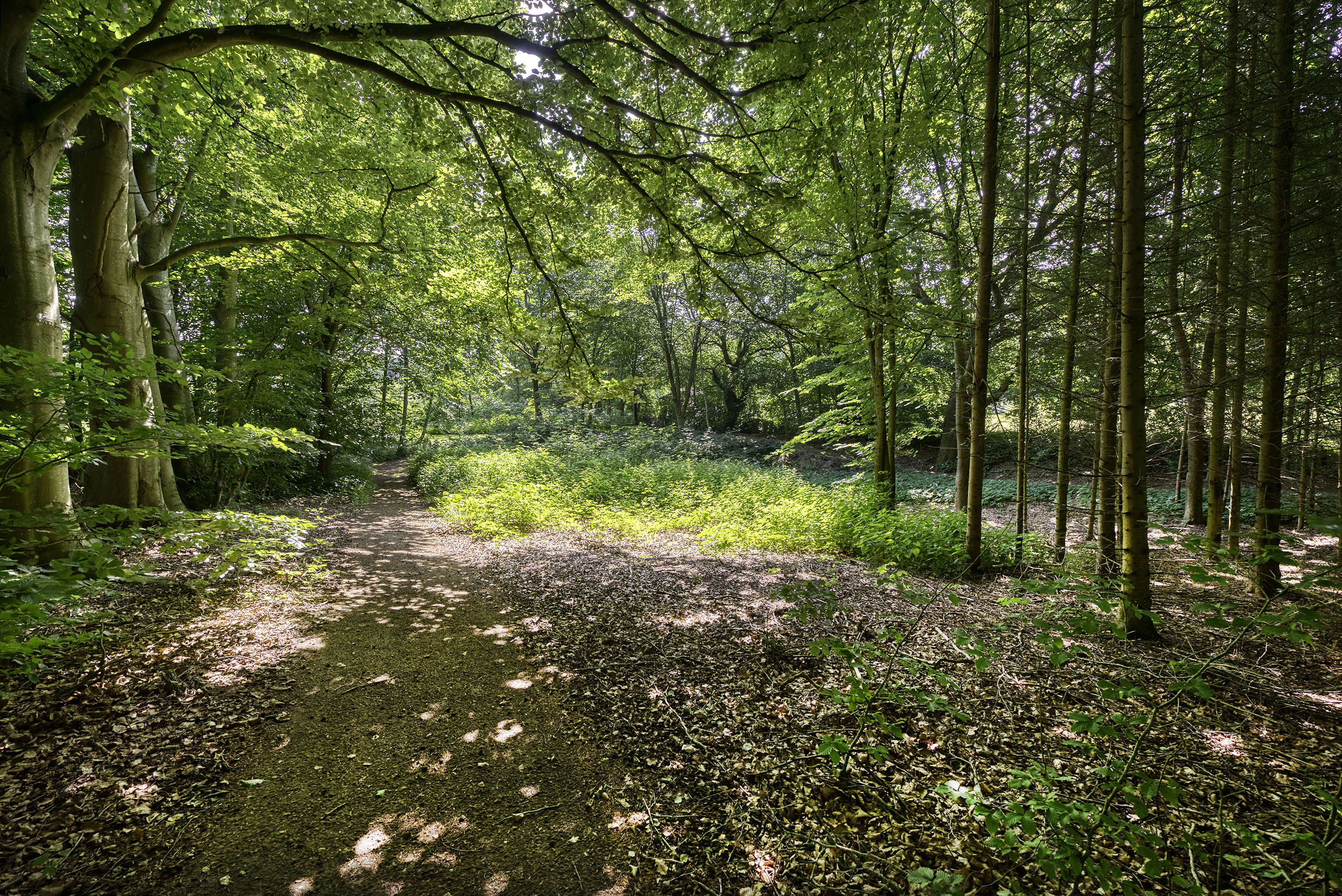 Fremhævet  billede i fuldskærmstilstand. Billede af Søndergade 163, Lunghøj, 5591 Gelsted