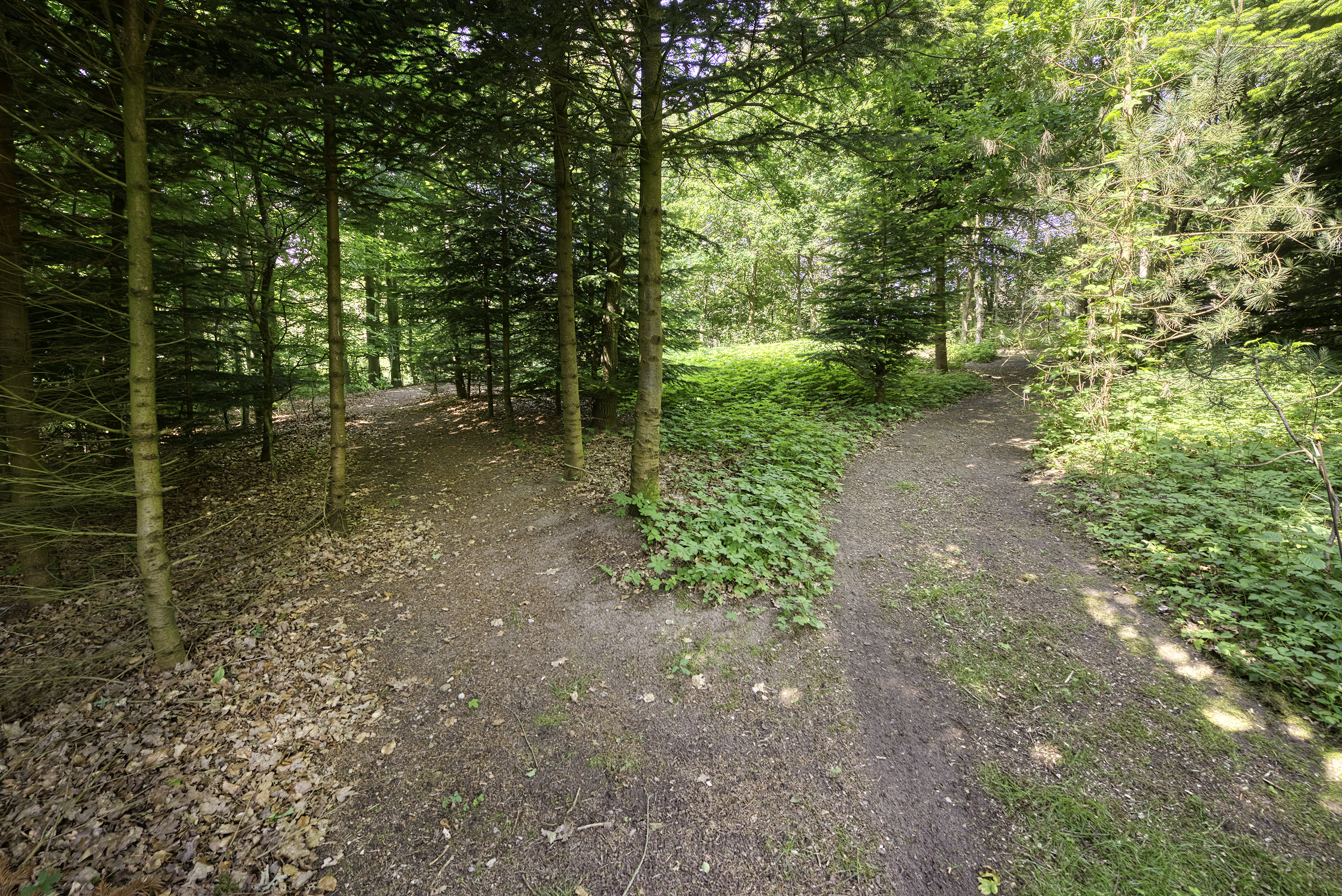 Fremhævet  billede i fuldskærmstilstand. Billede af Søndergade 163, Lunghøj, 5591 Gelsted