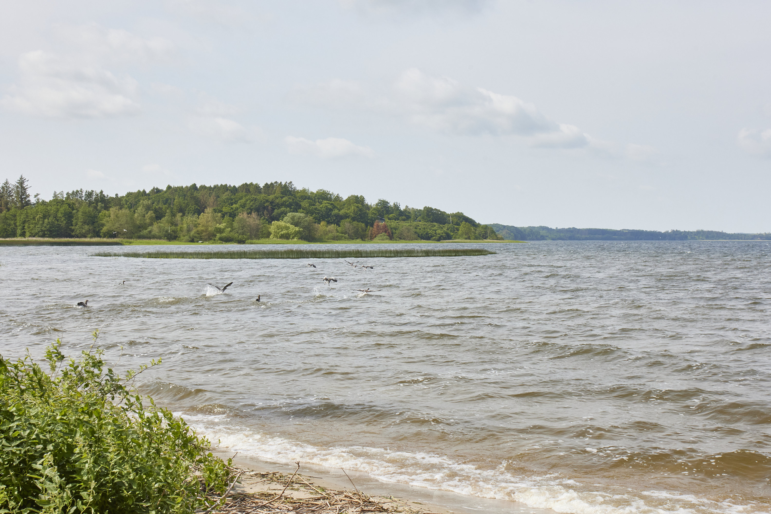 Fremhævet strand billede i fuldskærmstilstand. Billede af Vædebrovej 16, 8660 Skanderborg