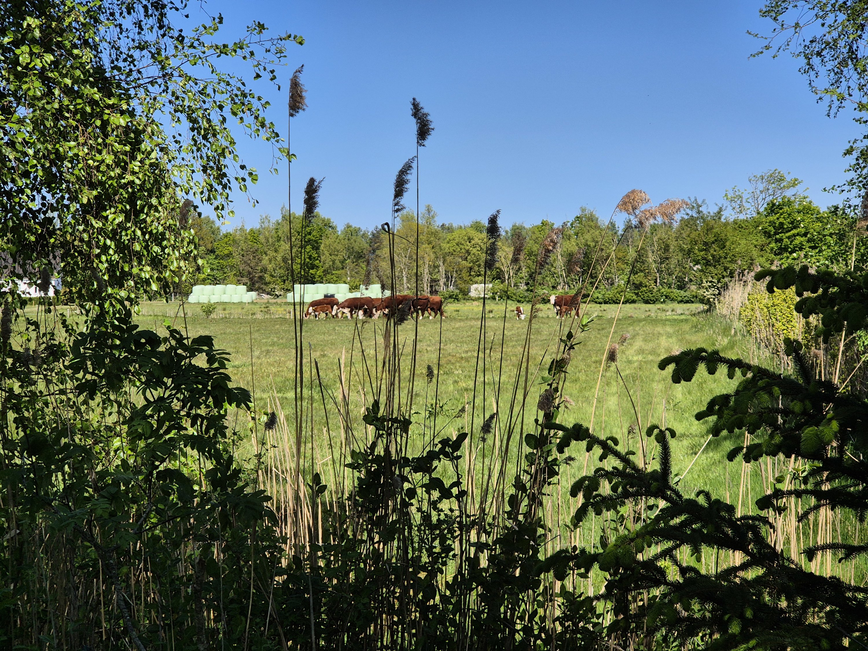 Miniaturebillede 1: . Billede af Askevej 21, Vesterø Havn, 9940 Læsø