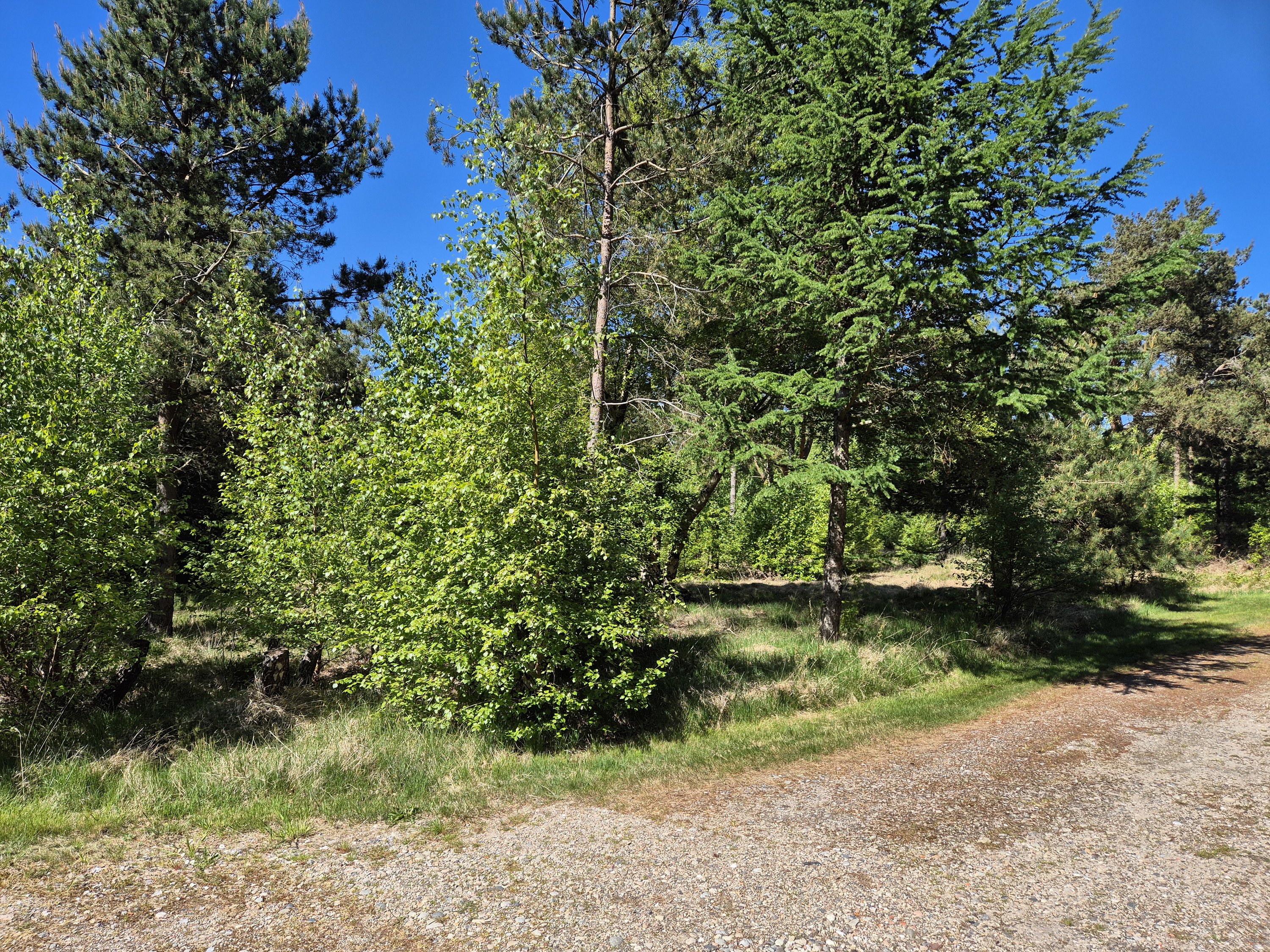 Miniaturebillede 1: . Billede af Blåtopvej 9, Vesterø, 9940 Læsø