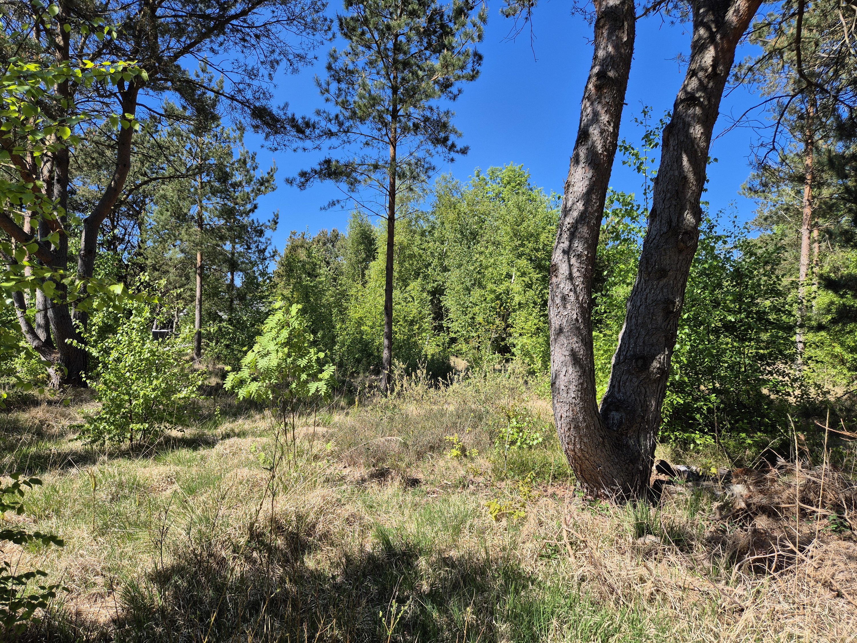 Miniaturebillede 2: . Billede af Blåtopvej 9, Vesterø, 9940 Læsø