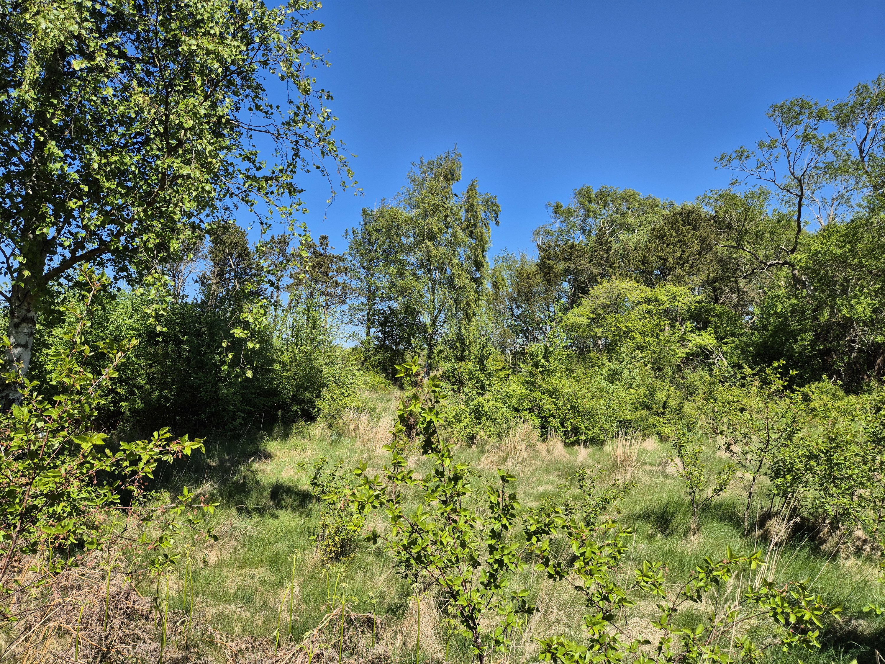 Miniaturebillede 2: . Billede af Askevej 21, Vesterø Havn, 9940 Læsø