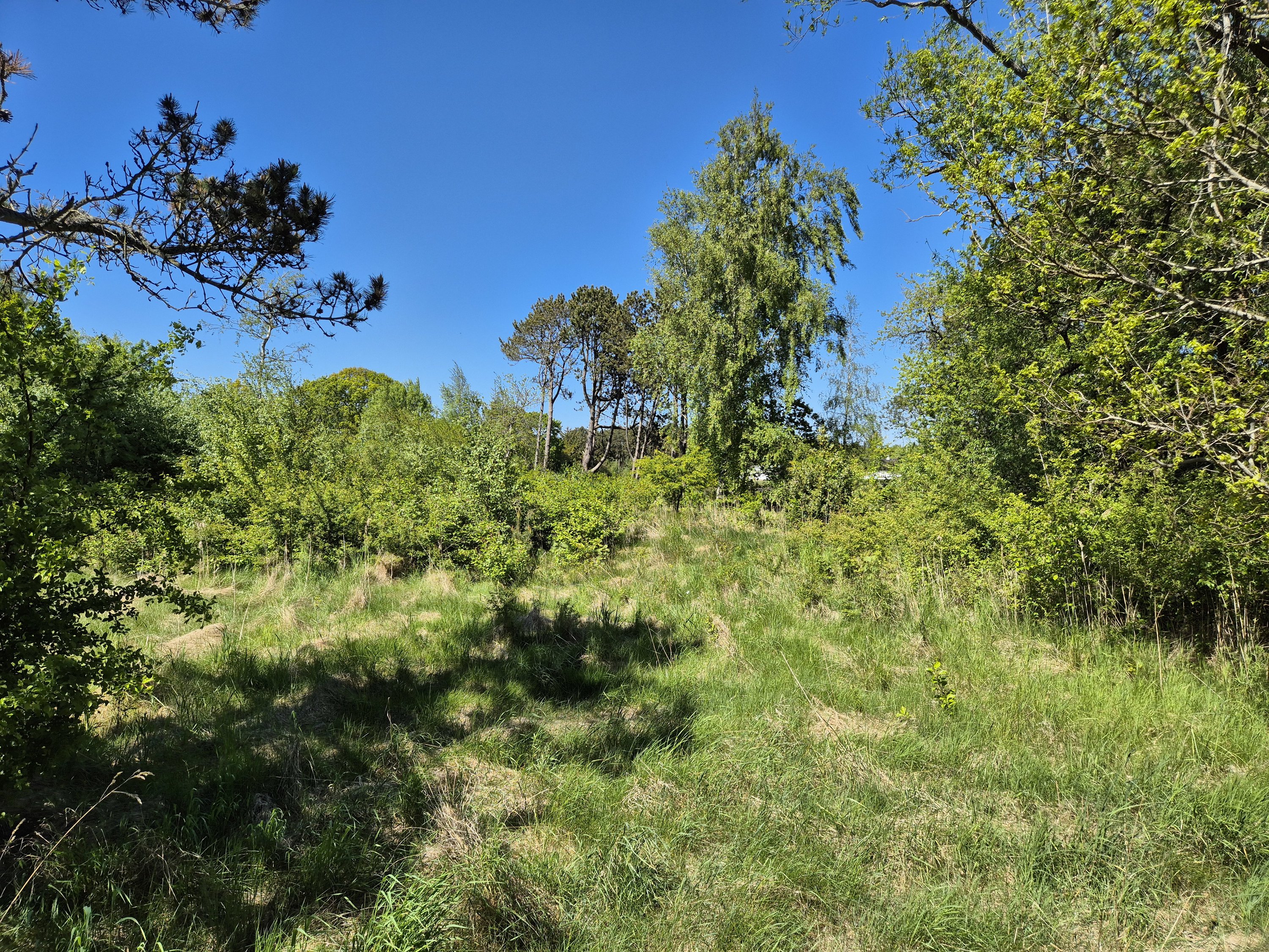 Fremhævet  billede i fuldskærmstilstand. Billede af Askevej 21, Vesterø Havn, 9940 Læsø