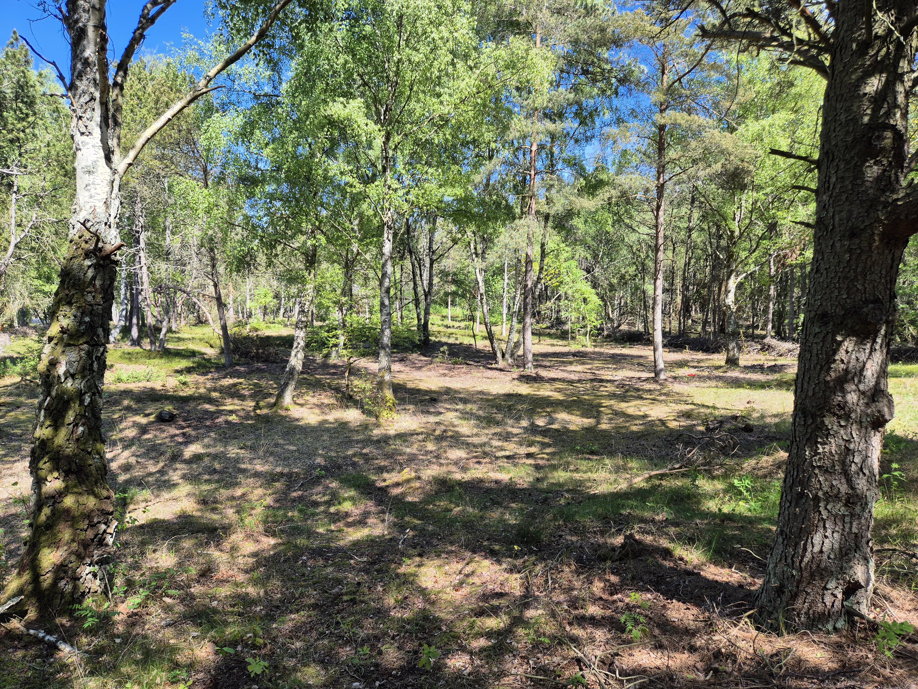 Miniaturebillede 2: . Billede af Kamillevej 6, Vesterø, 9940 Læsø