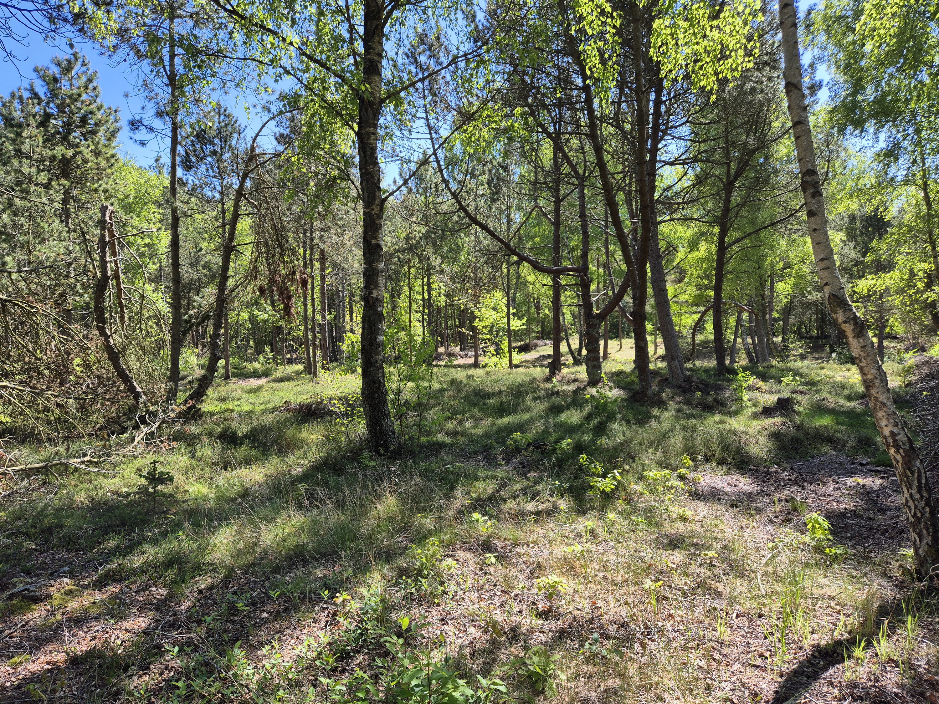 Fremhævet  billede i fuldskærmstilstand. Billede af Kamillevej 6, Vesterø, 9940 Læsø