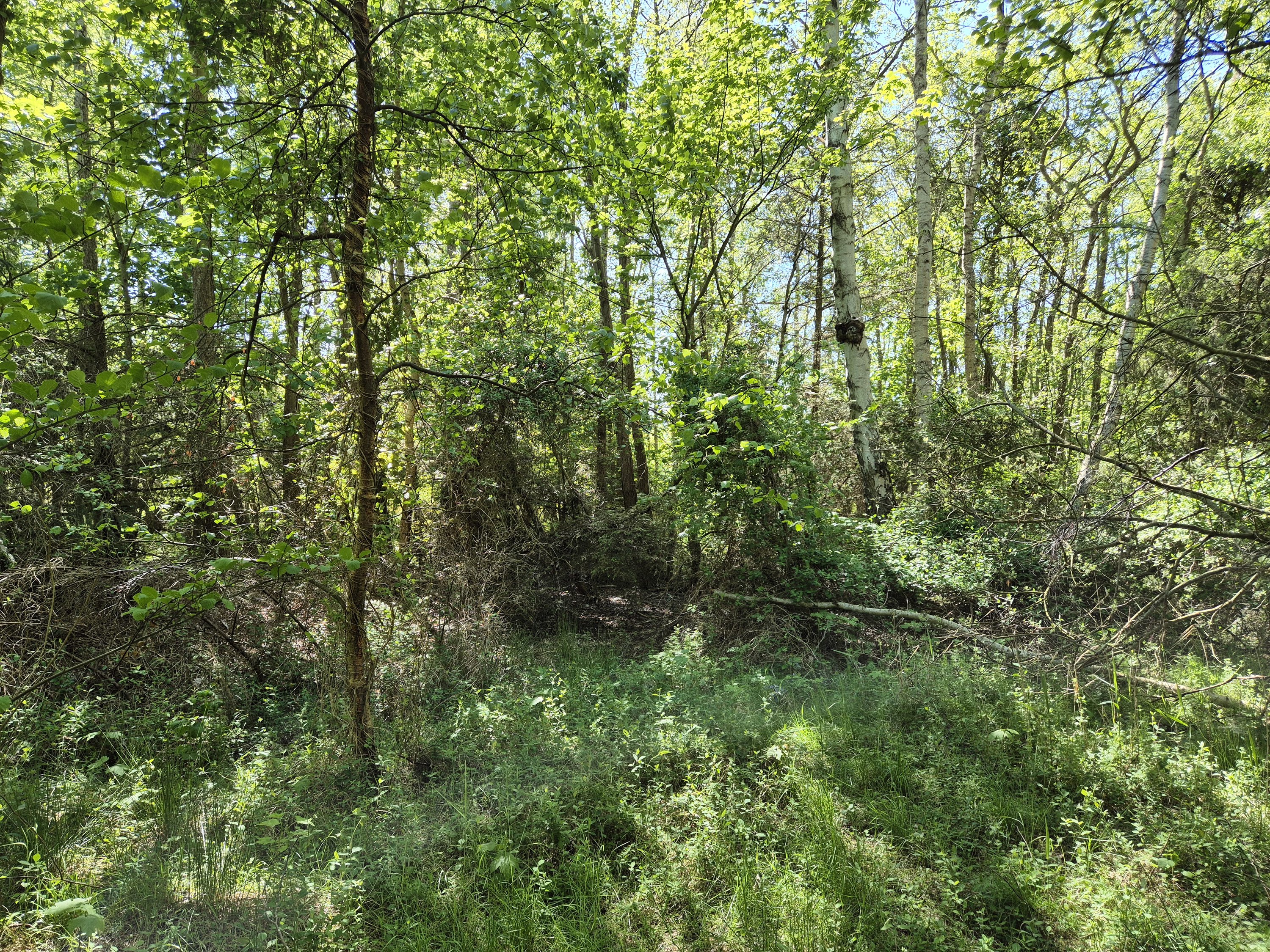 Miniaturebillede 2: . Billede af Smørblomstvej 3, Vesterø Havn, 9940 Læsø