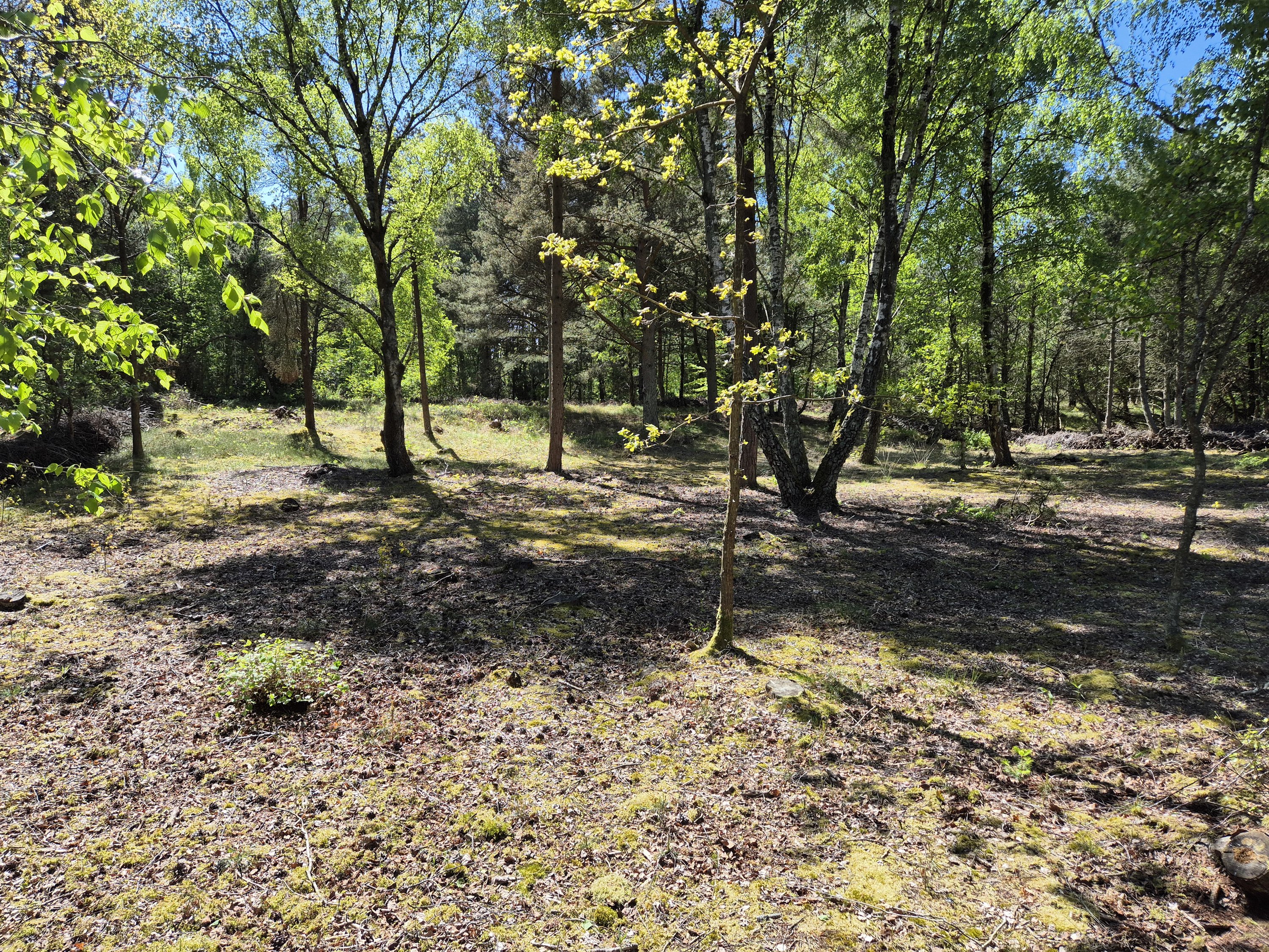 Fremhævet  billede i fuldskærmstilstand. Billede af Kamillevej 6, Vesterø, 9940 Læsø