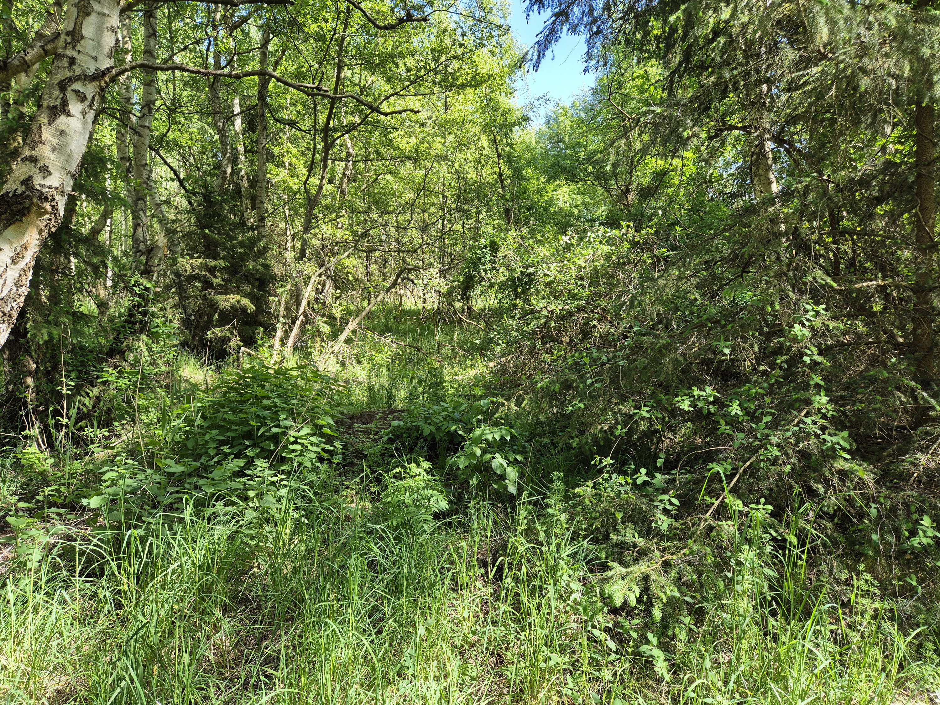 Fremhævet  billede i fuldskærmstilstand. Billede af Smørblomstvej 3, Vesterø Havn, 9940 Læsø