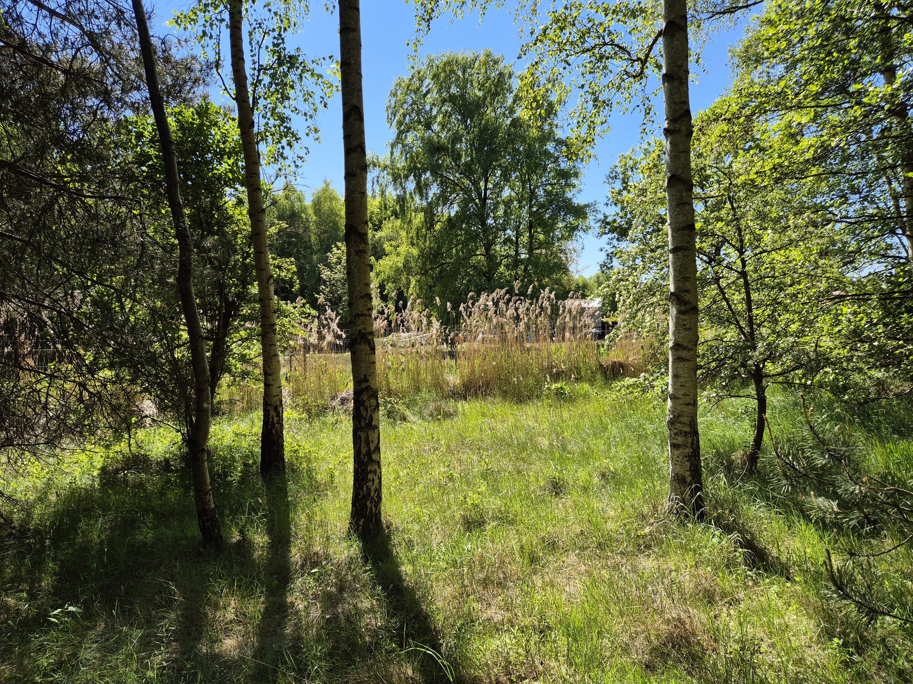 Miniaturebillede 1: . Billede af Smørblomstvej 3, Vesterø Havn, 9940 Læsø