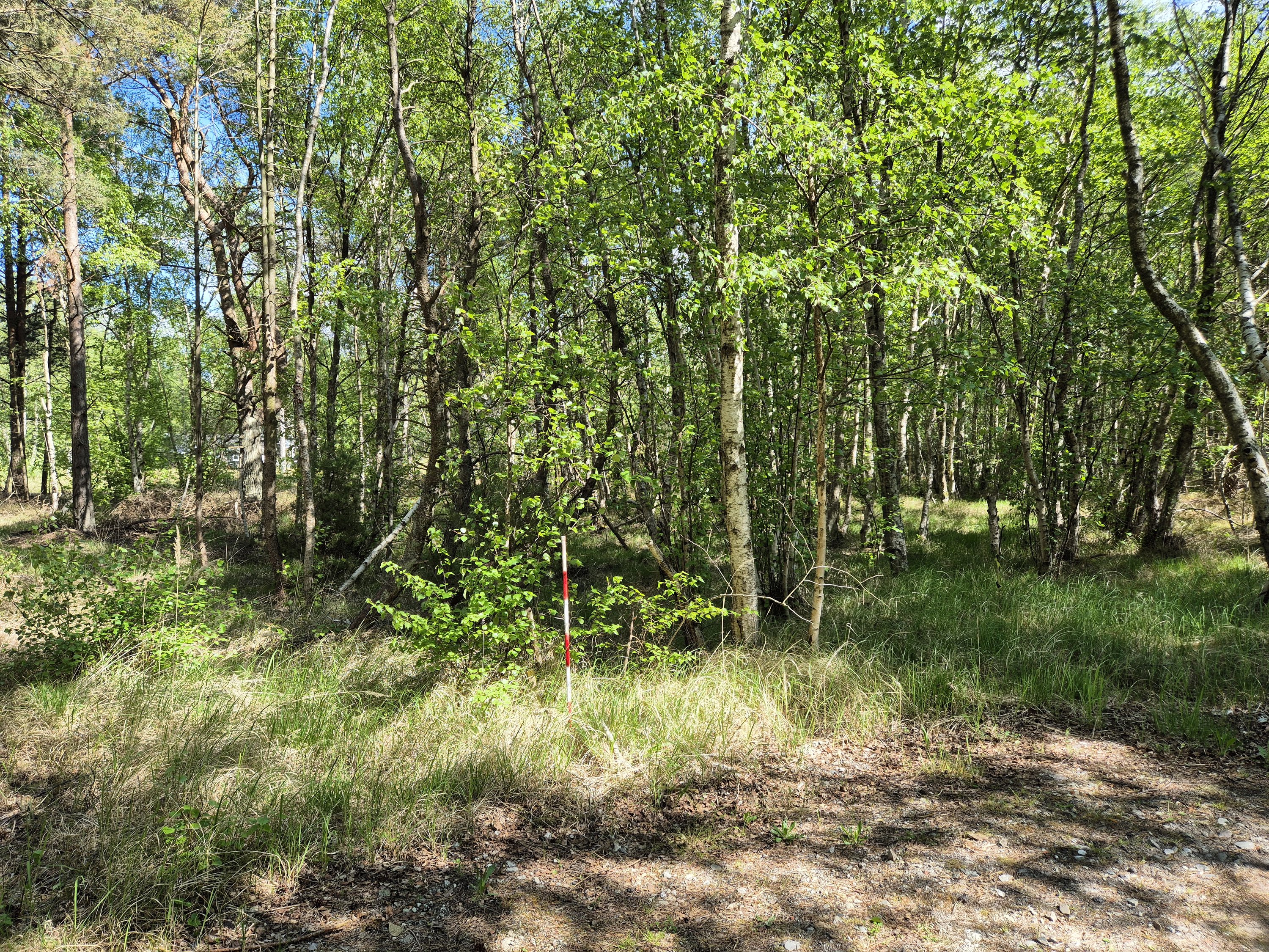 Miniaturebillede 1: . Billede af Banstensvejen 30, Nordmarken, 9940 Læsø