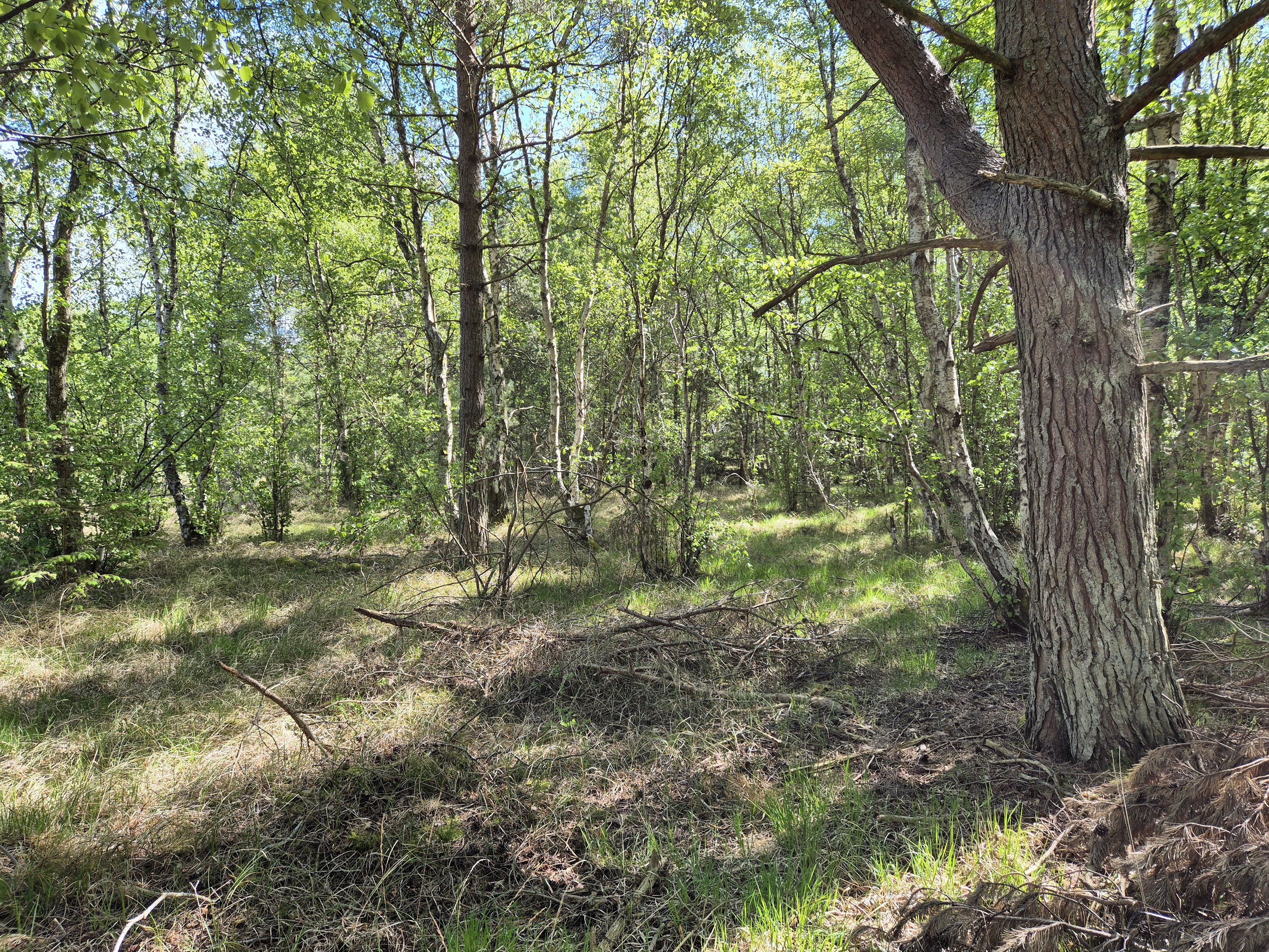 Miniaturebillede 2: . Billede af Banstensvejen 30, Nordmarken, 9940 Læsø