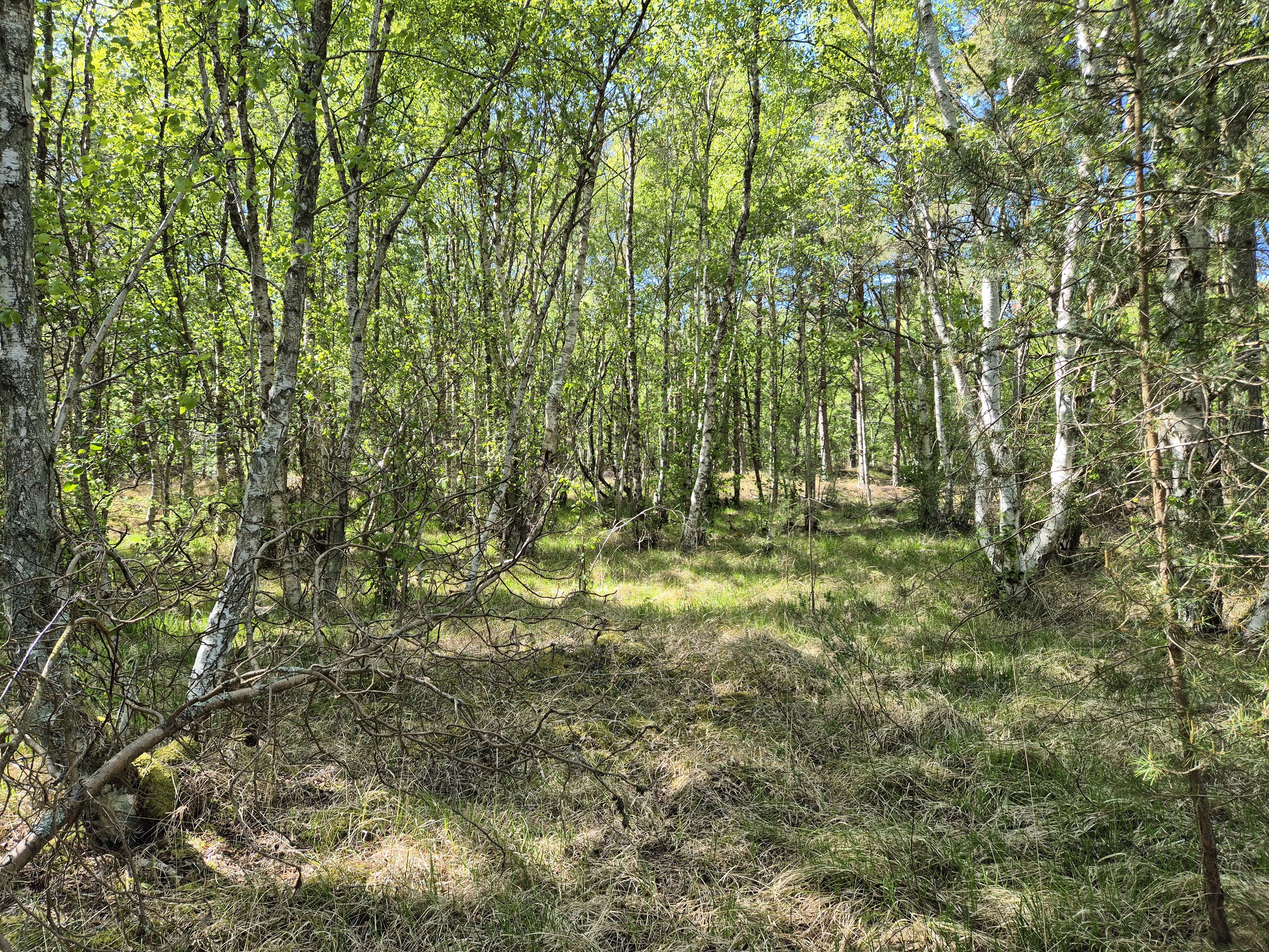 Fremhævet  billede i fuldskærmstilstand. Billede af Banstensvejen 30, Nordmarken, 9940 Læsø