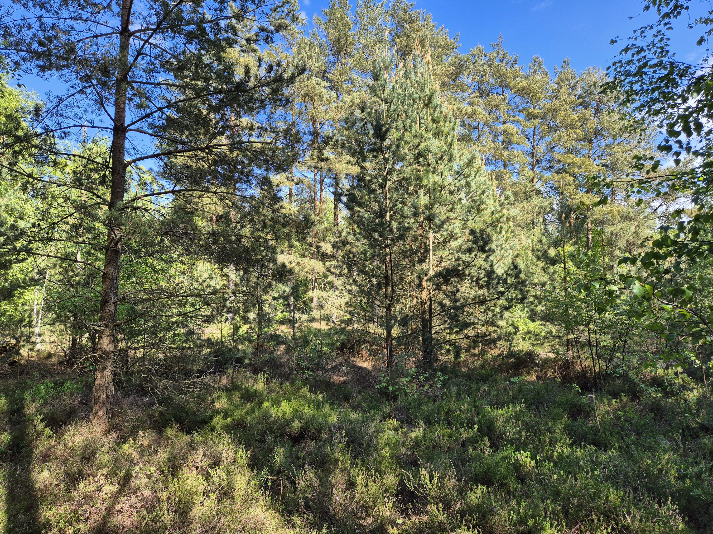 Miniaturebillede 1: . Billede af Banstensvejen 72, Nordmarken , 9940 Læsø