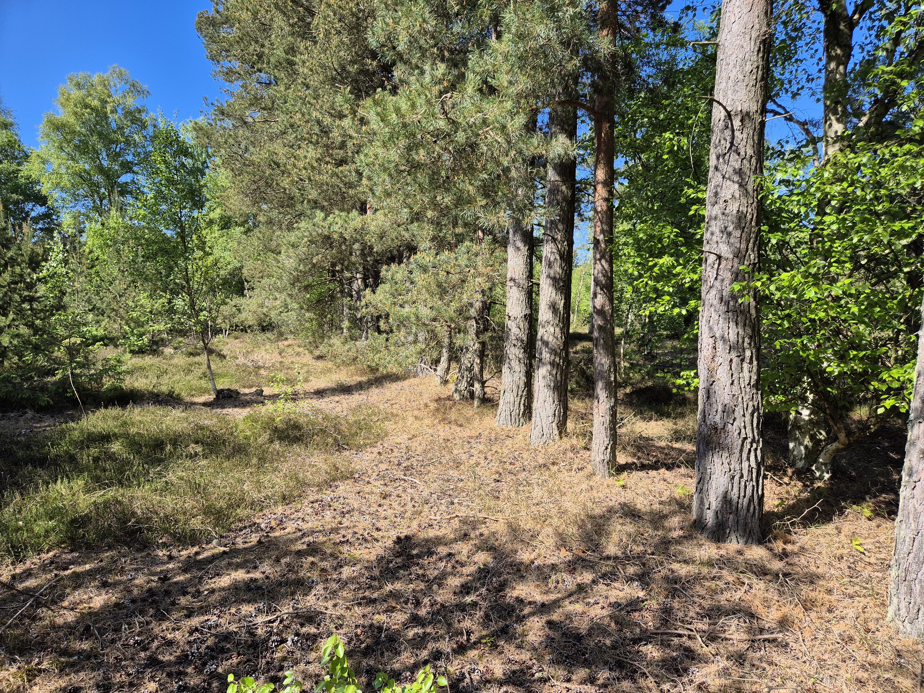 Miniaturebillede 2: . Billede af Banstensvejen 72, Nordmarken , 9940 Læsø