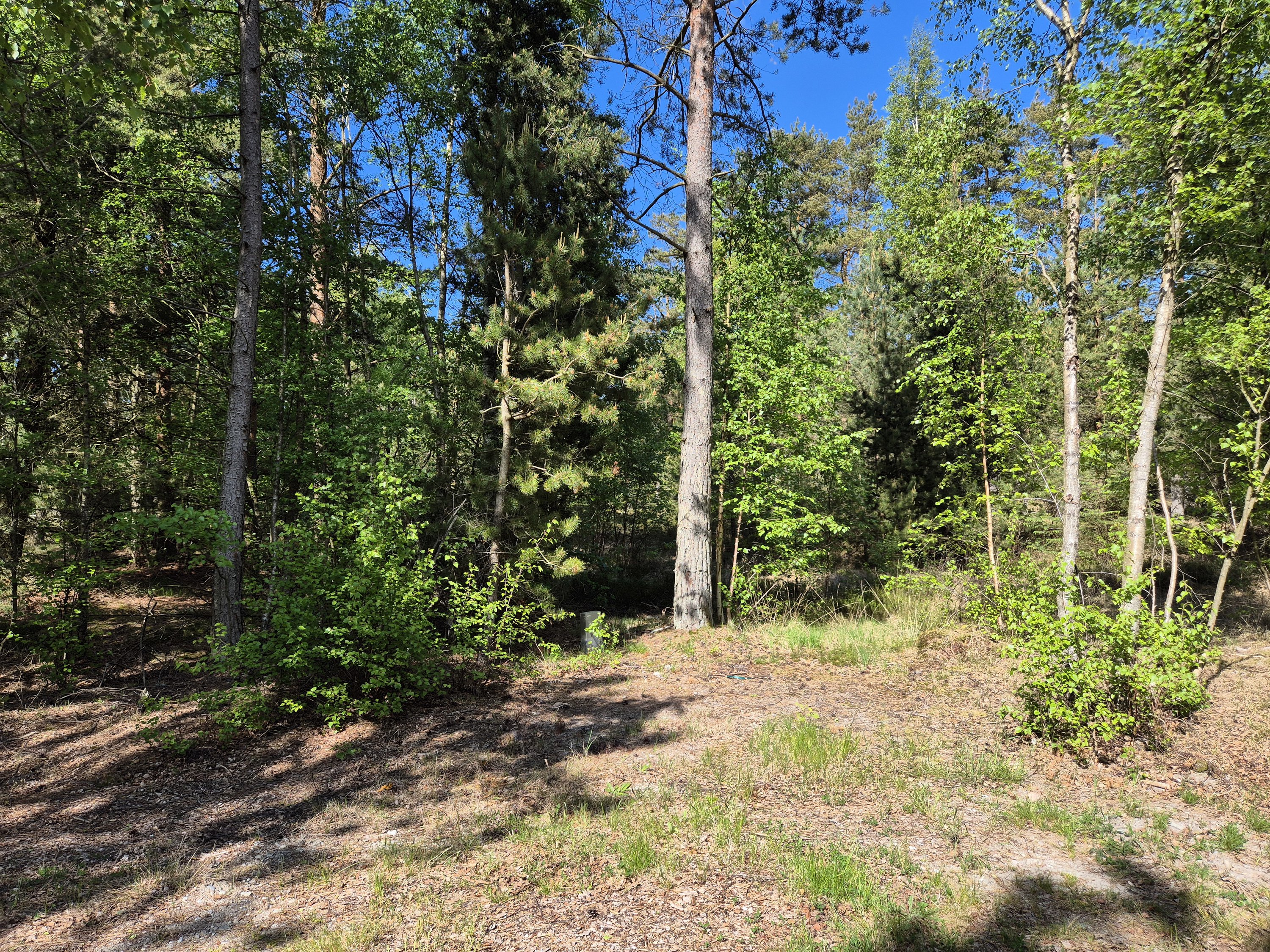 Fremhævet  billede i fuldskærmstilstand. Billede af Banstensvejen 72, Nordmarken , 9940 Læsø