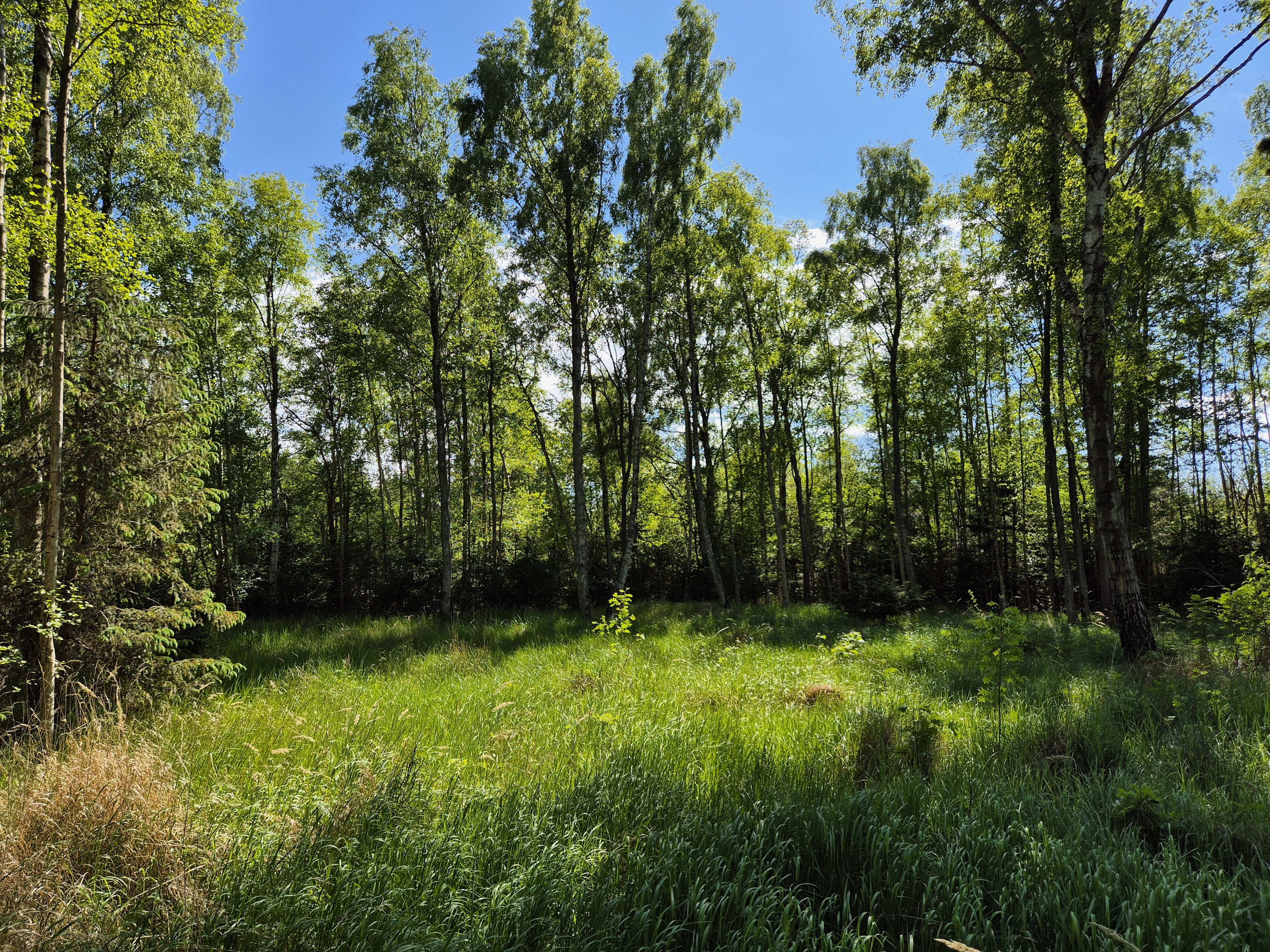 Fremhævet  billede i fuldskærmstilstand. Billede af Grønningen 6, Nordmarken, 9940 Læsø