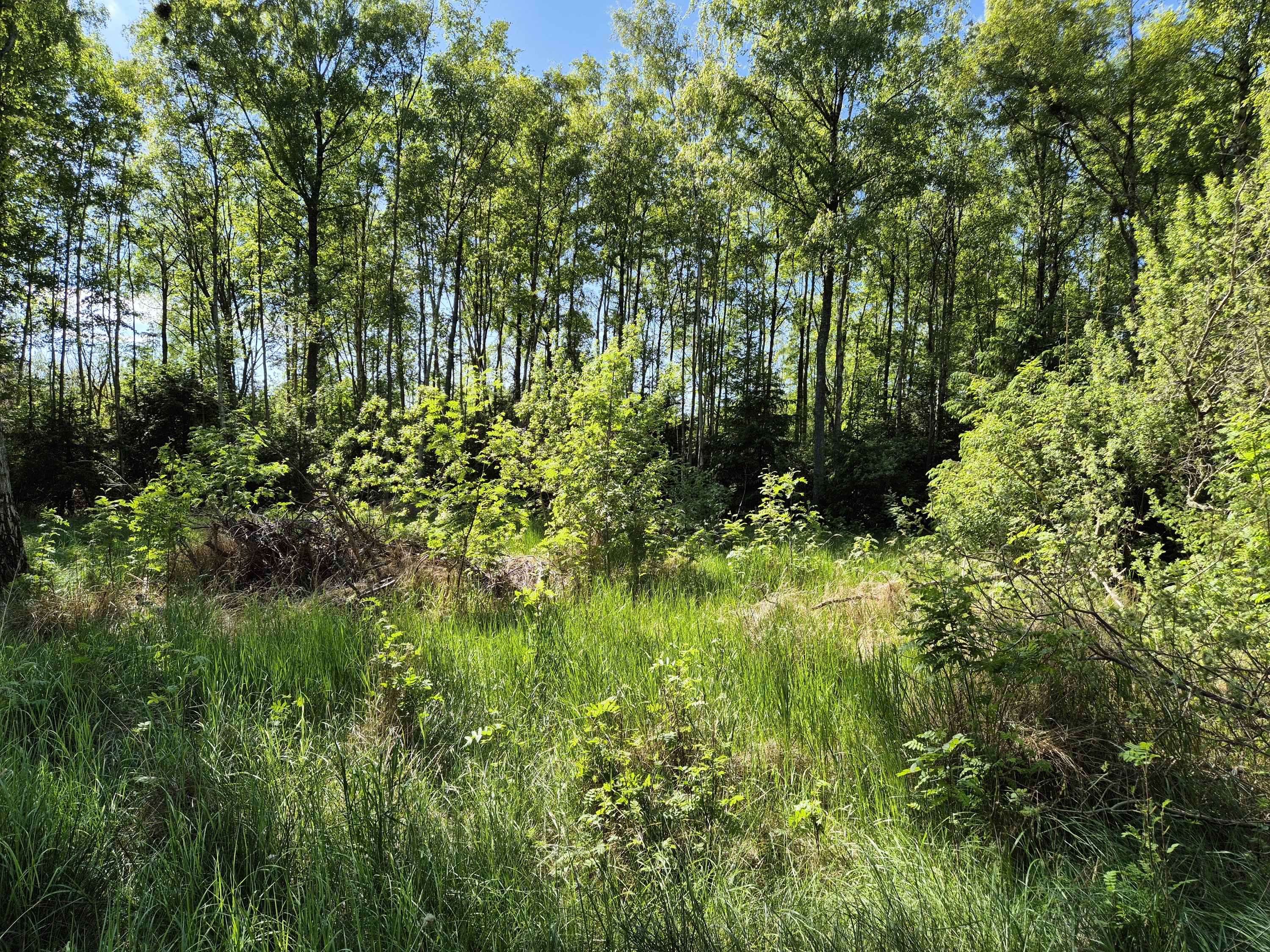 Miniaturebillede 1: . Billede af Grønningen 6, Nordmarken, 9940 Læsø