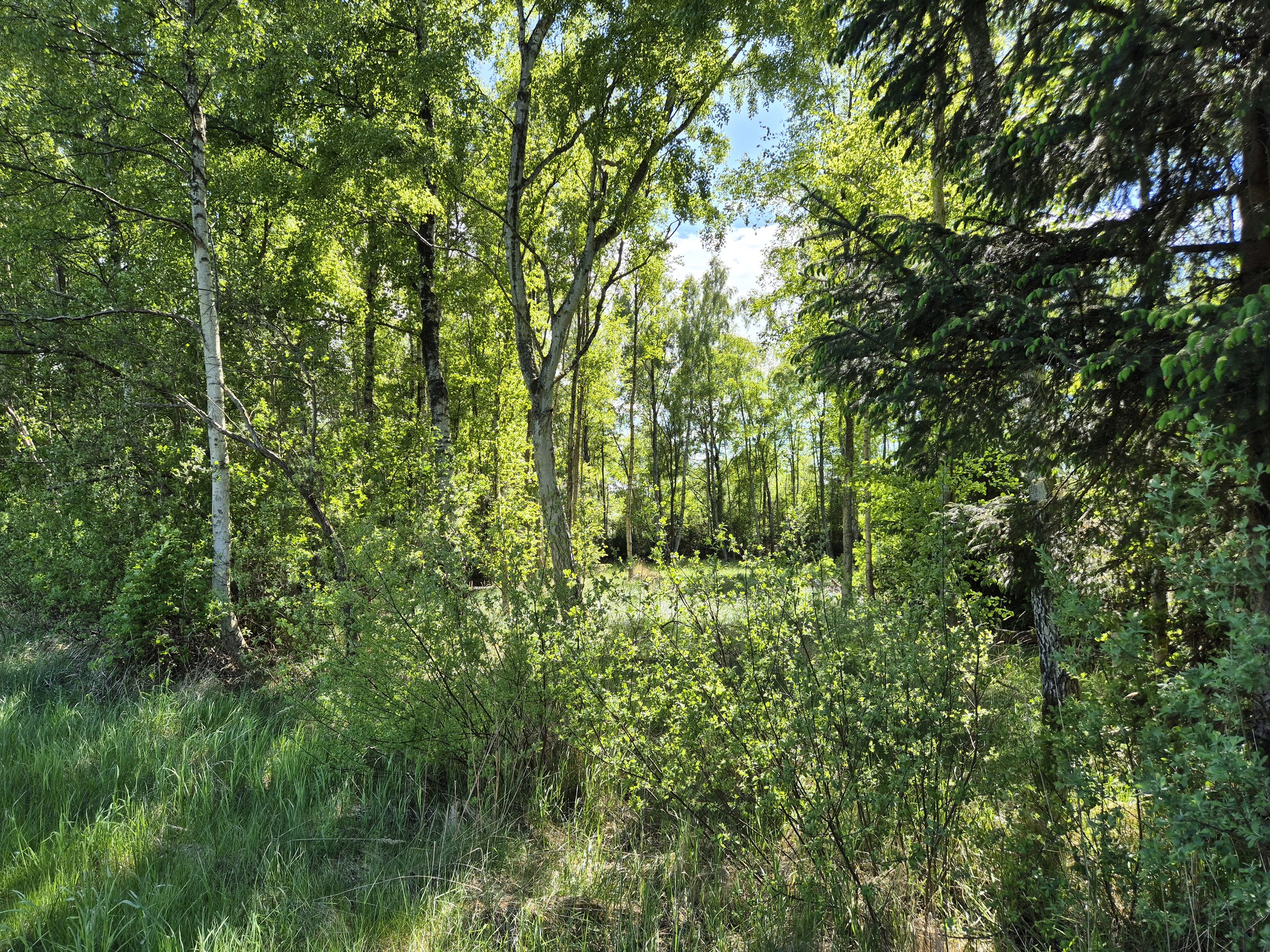 Miniaturebillede 2: . Billede af Grønningen 6, Nordmarken, 9940 Læsø