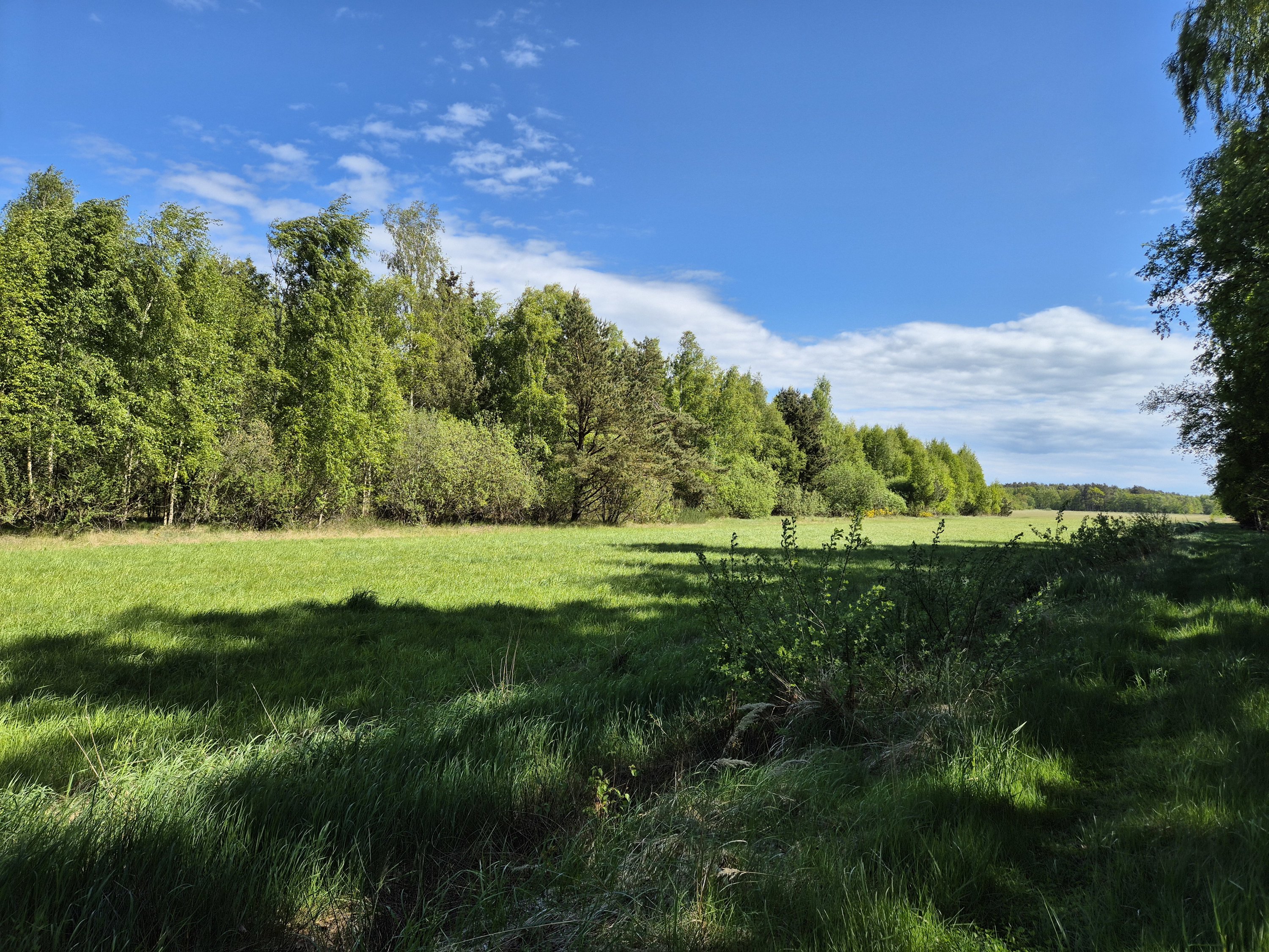 Fremhævet  billede i fuldskærmstilstand. Billede af Grønningen 6, Nordmarken, 9940 Læsø
