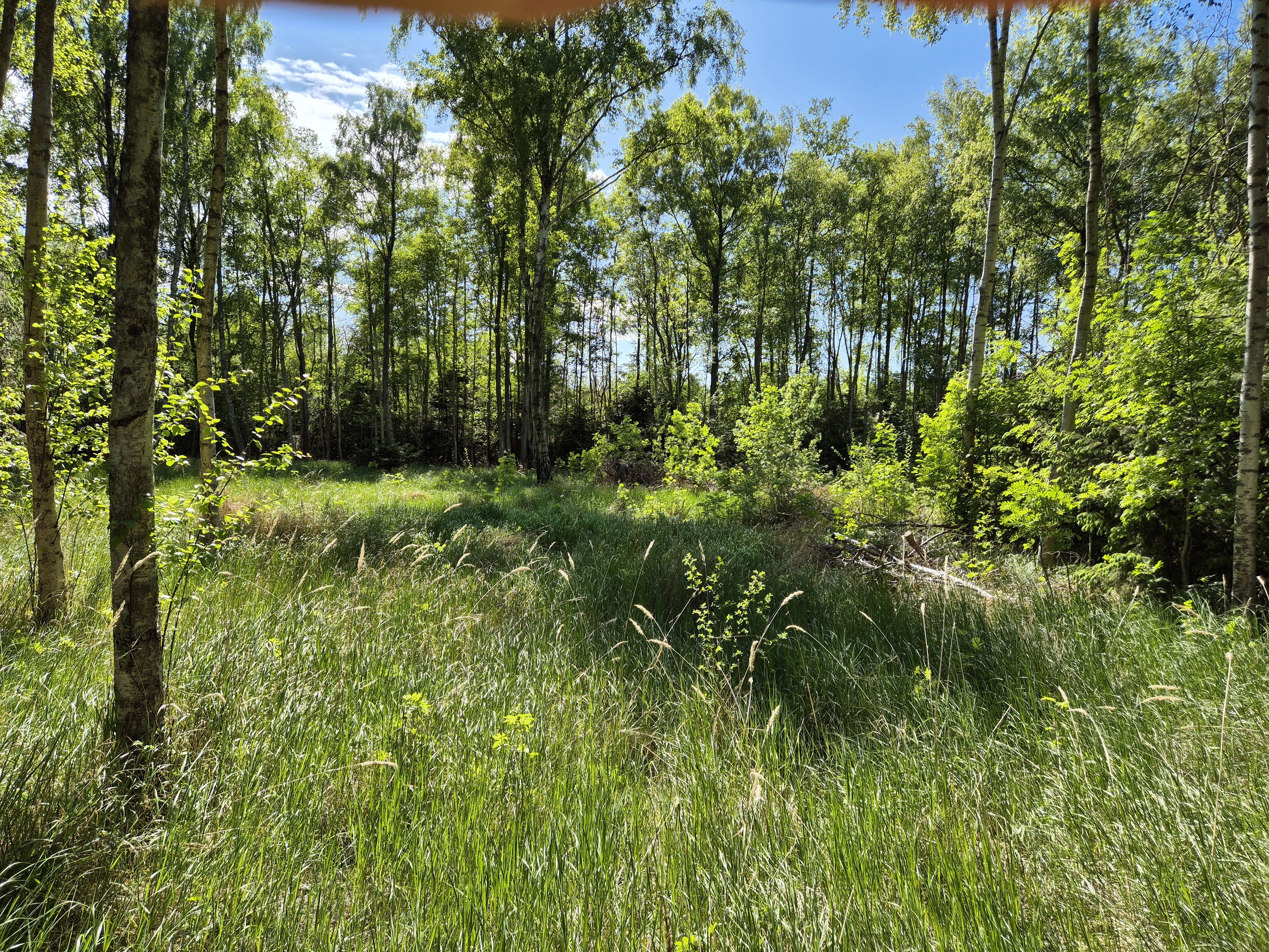 Fremhævet  billede i fuldskærmstilstand. Billede af Grønningen 6, Nordmarken, 9940 Læsø