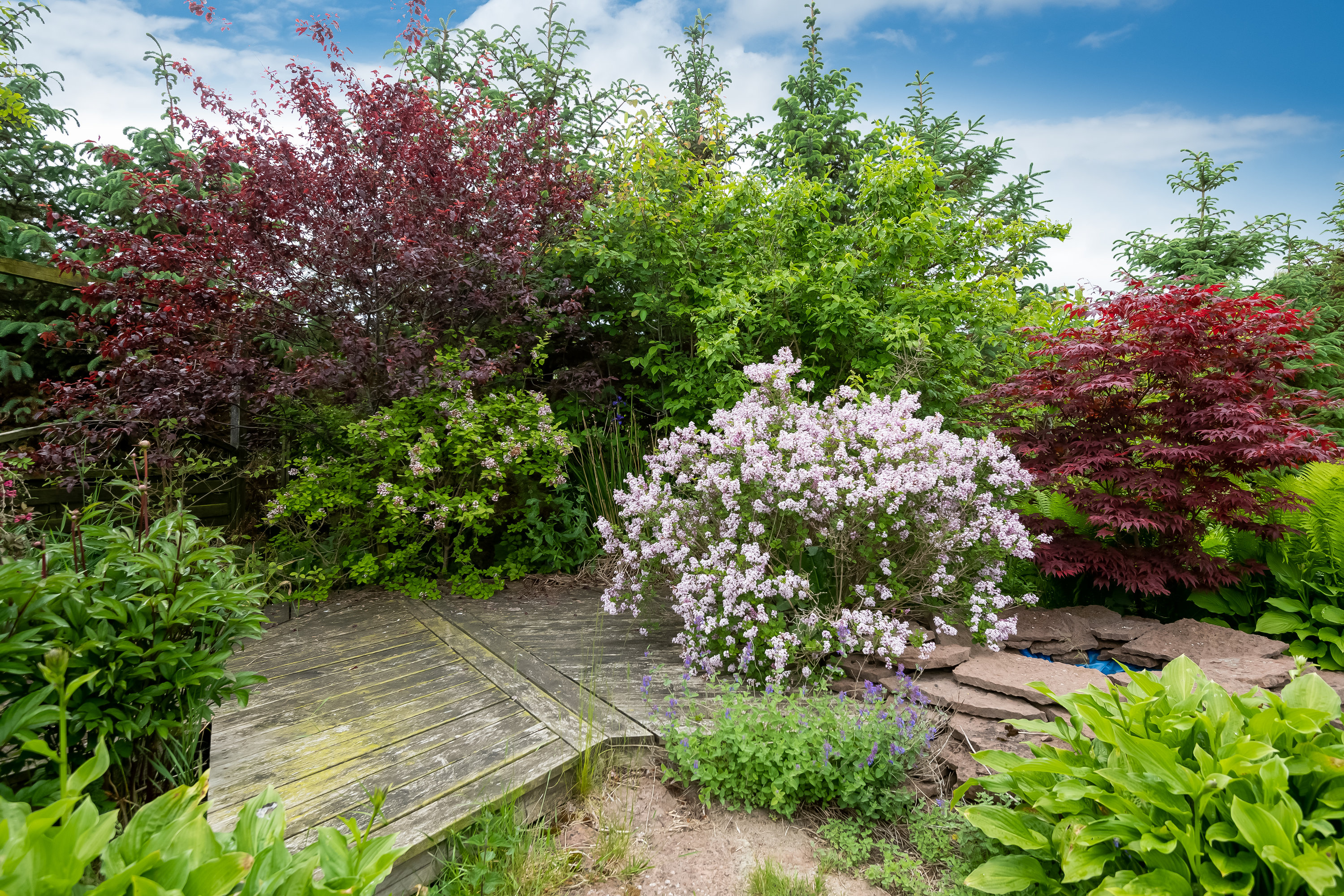 Fremhævet  billede i fuldskærmstilstand. Billede af Rundmarken 9, 9800 Hjørring