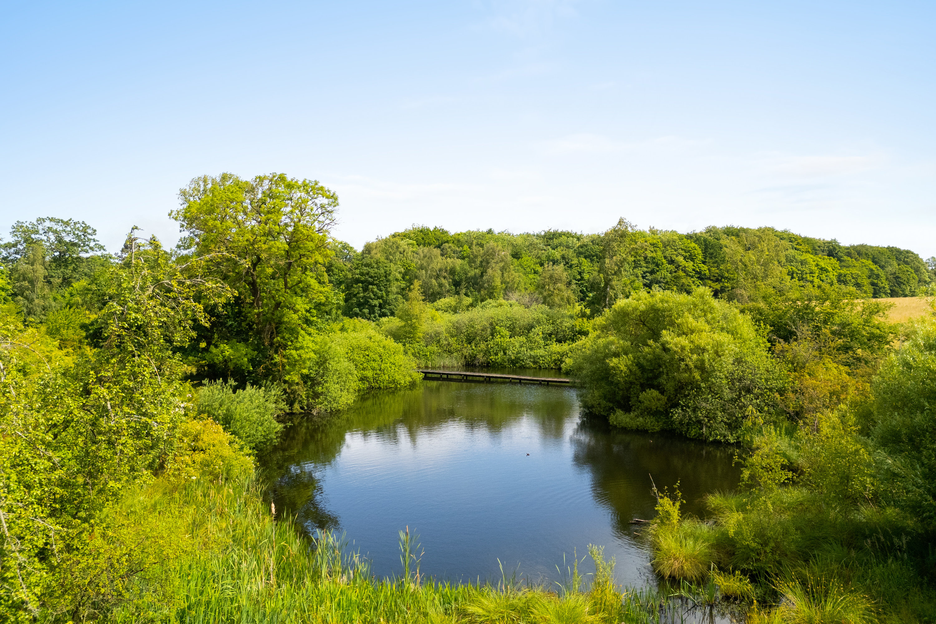 Fremhævet  billede i fuldskærmstilstand. Billede af Henrikshøj 10, 2. 1., 2950 Vedbæk