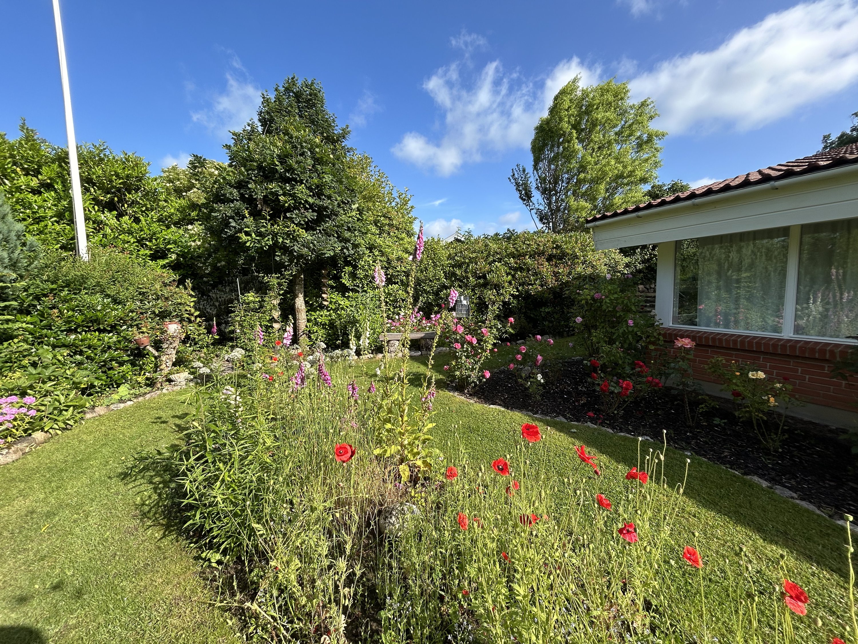 Fremhævet  billede i fuldskærmstilstand. Billede af Nøddely 9, 9830 Tårs