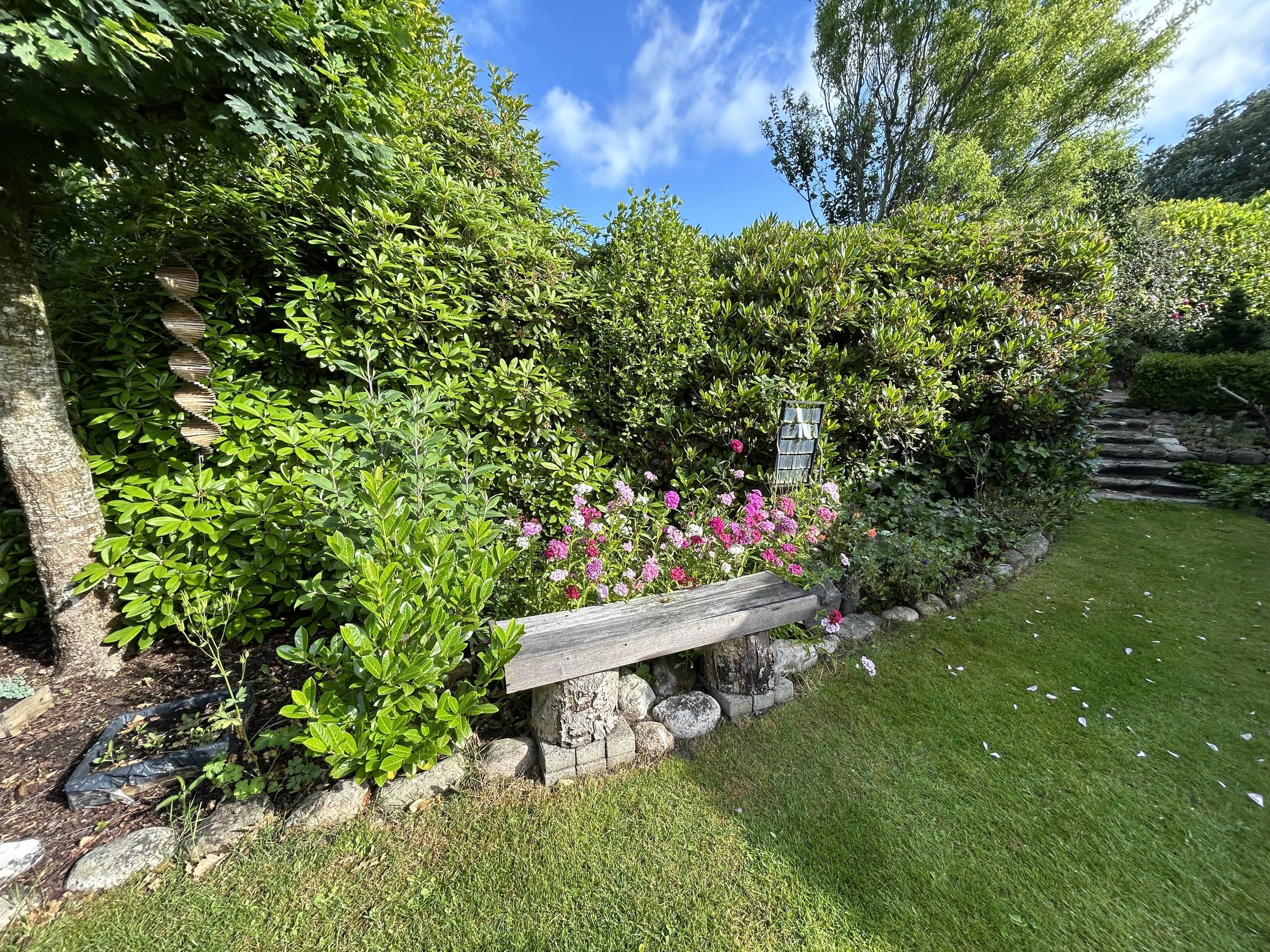 Fremhævet  billede i fuldskærmstilstand. Billede af Nøddely 9, 9830 Tårs