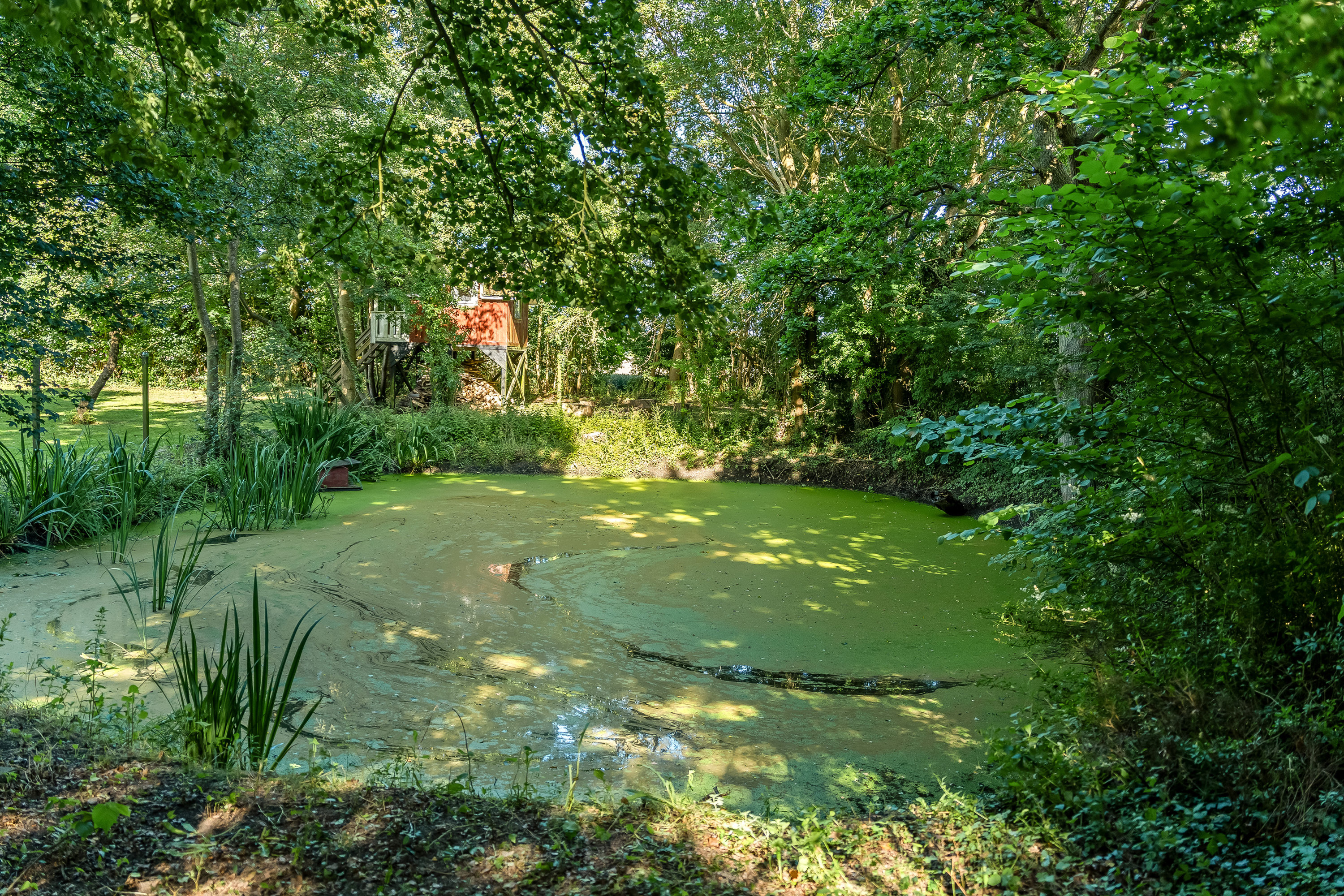 Fremhævet søudsigt billede i fuldskærmstilstand. Billede af Tillitse Kirkevej 5, 4983 Dannemare