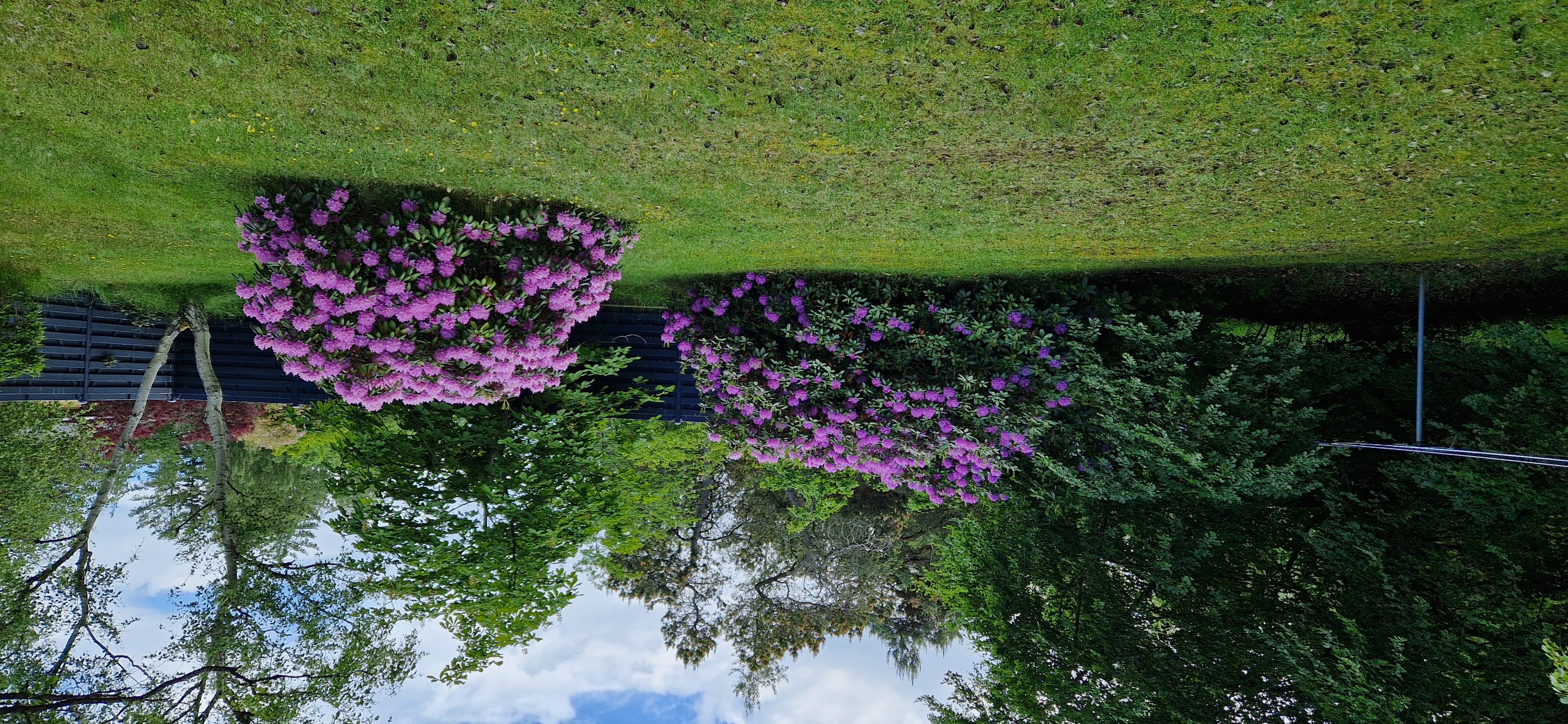 Fremhævet  billede i fuldskærmstilstand. Billede af Østerby Havnegade 46, Østerby Havn, 9940 Læsø