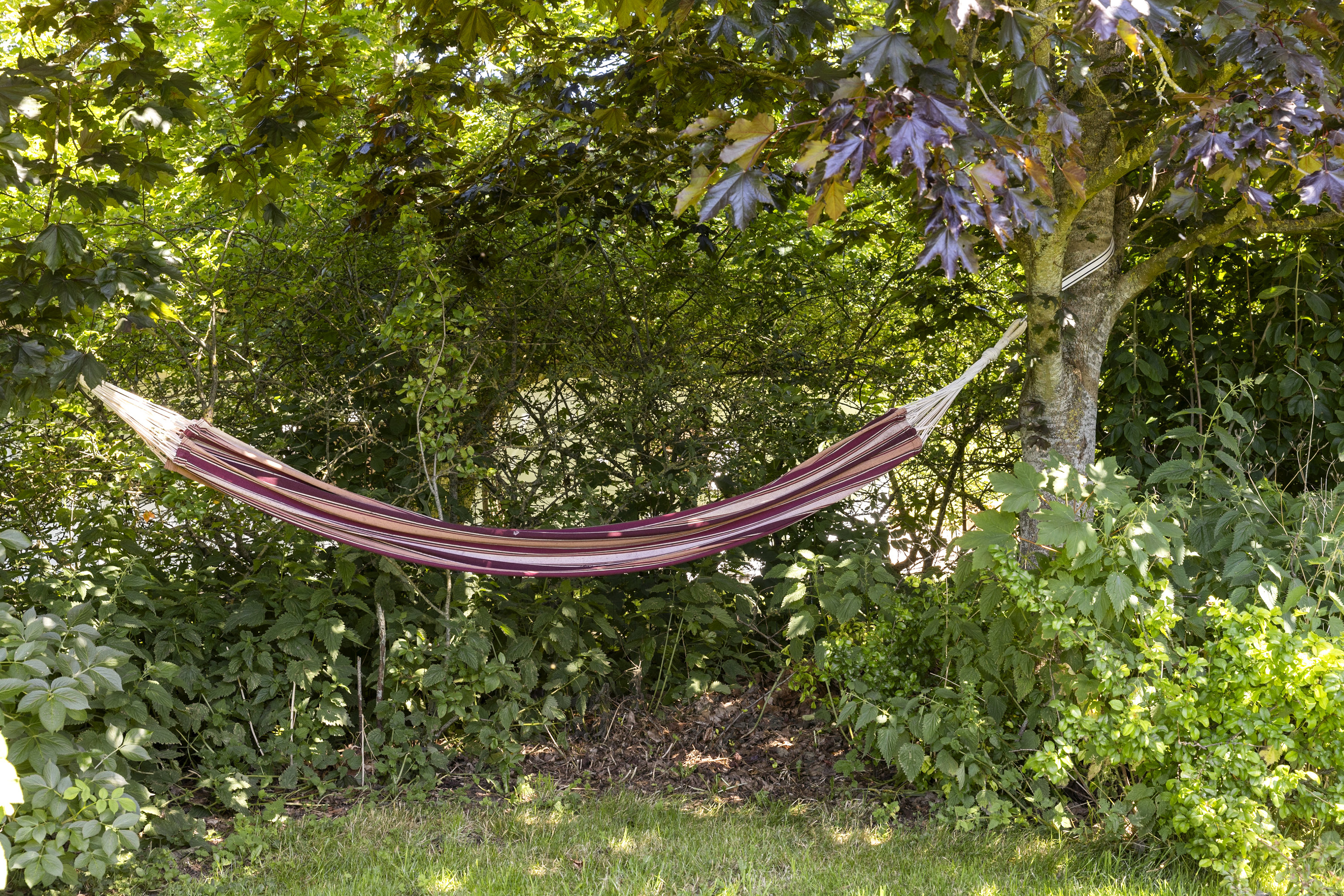 Fremhævet have billede i fuldskærmstilstand. Billede af Allindemagle Huse 35, Allindelille, 4100 Ringsted