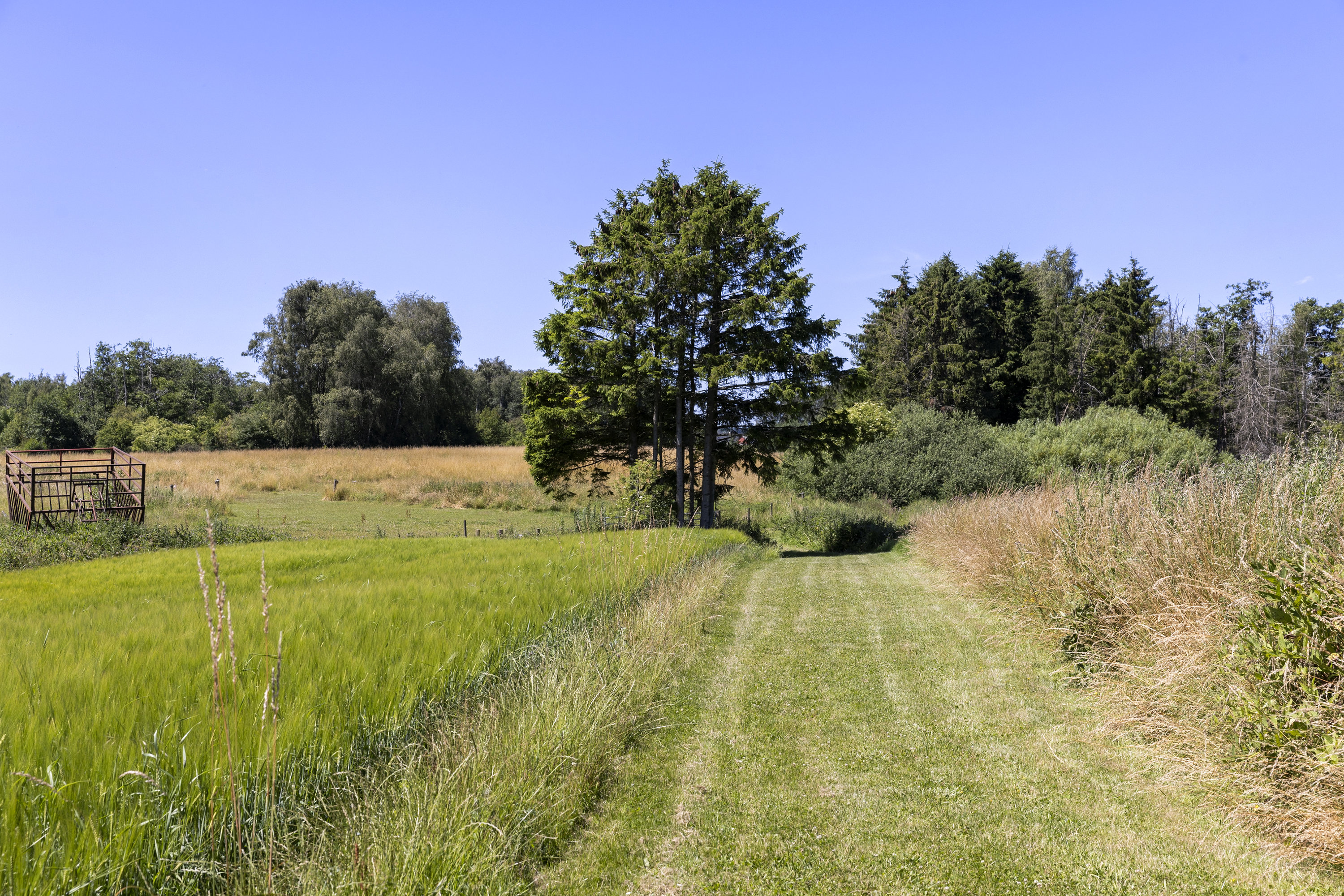 Fremhævet grund billede i fuldskærmstilstand. Billede af Allindemagle Huse 35, Allindelille, 4100 Ringsted