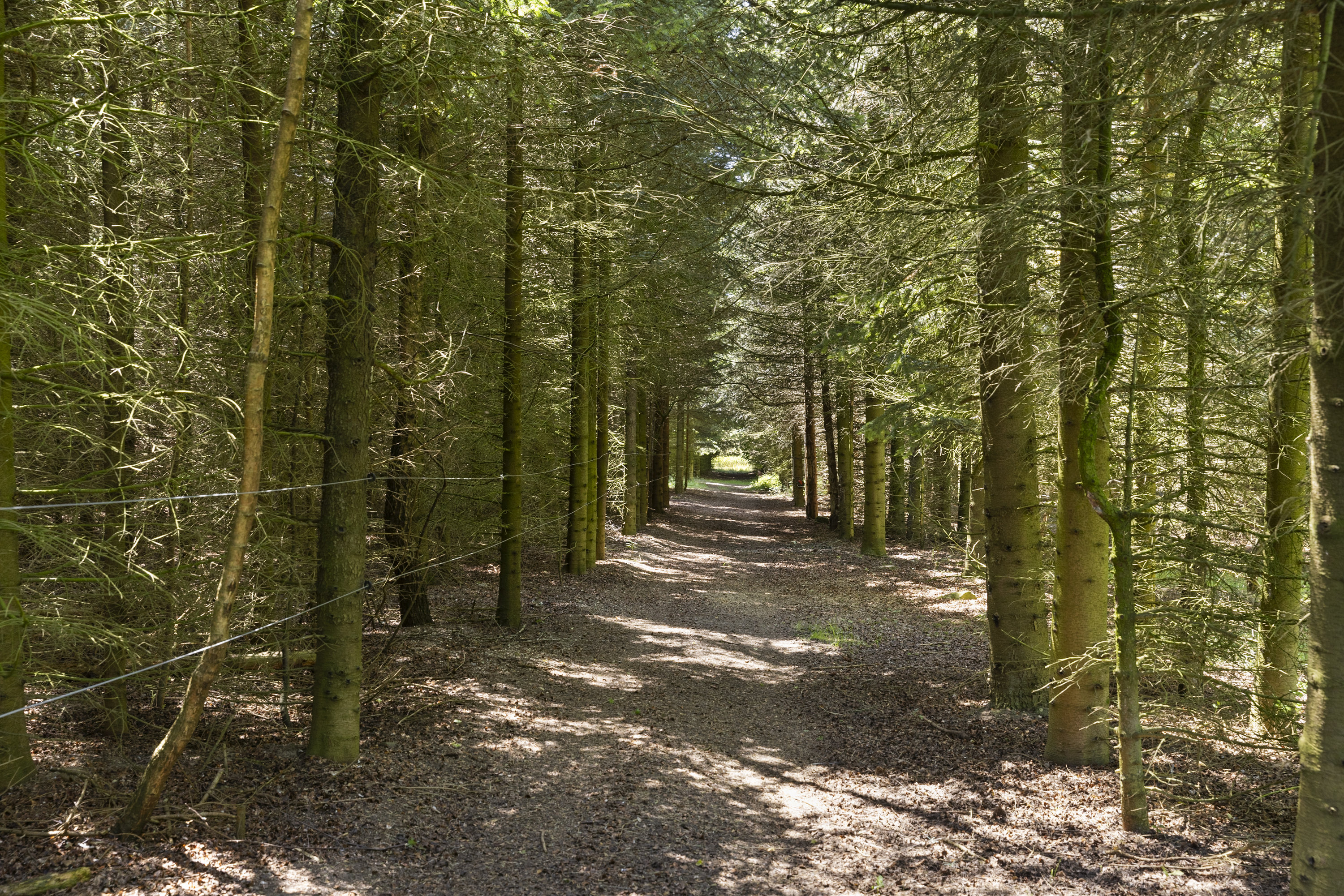 Fremhævet grund billede i fuldskærmstilstand. Billede af Allindemagle Huse 35, Allindelille, 4100 Ringsted