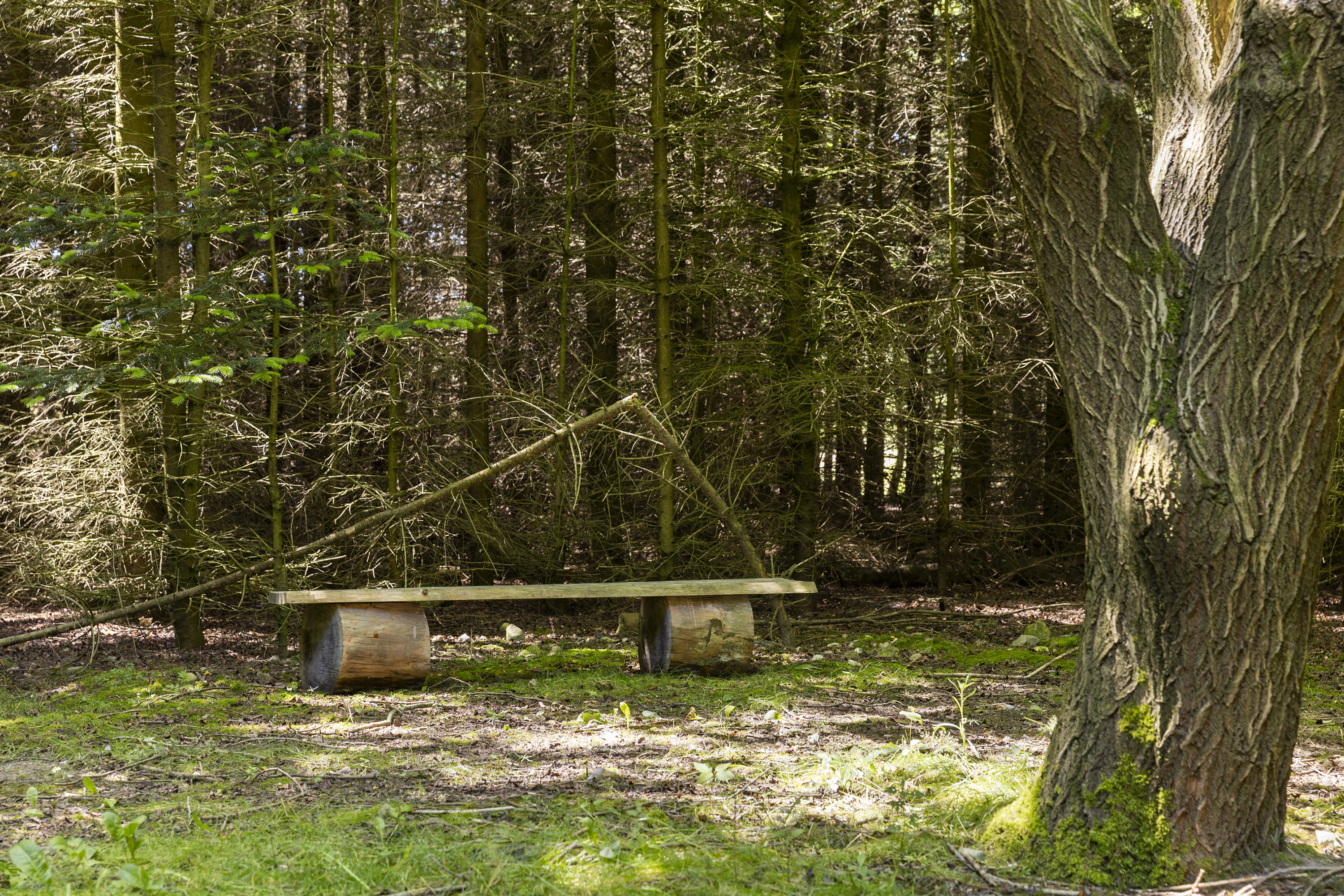 Fremhævet grund billede i fuldskærmstilstand. Billede af Allindemagle Huse 35, Allindelille, 4100 Ringsted