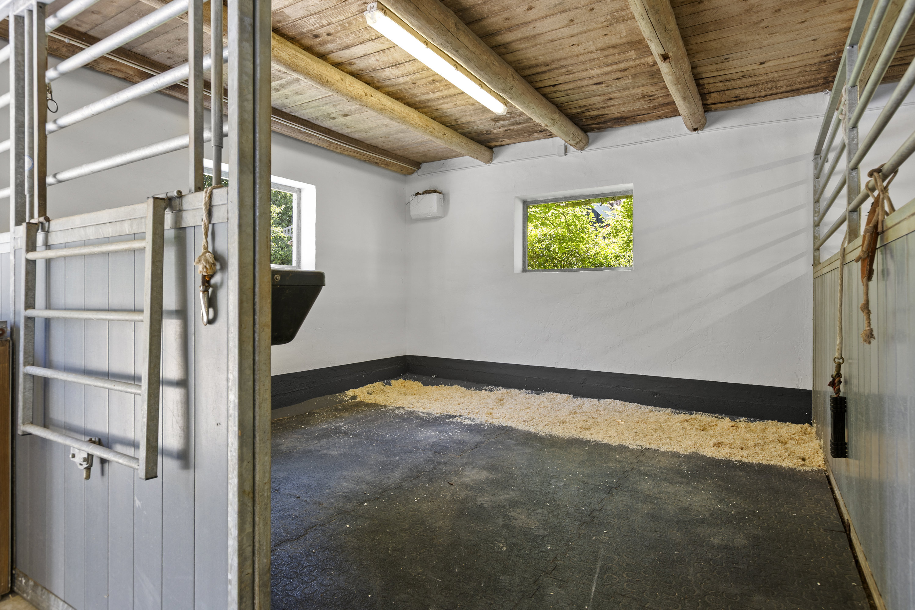 Fremhævet hesteboks billede i fuldskærmstilstand. Billede af Allindemagle Huse 35, Allindelille, 4100 Ringsted