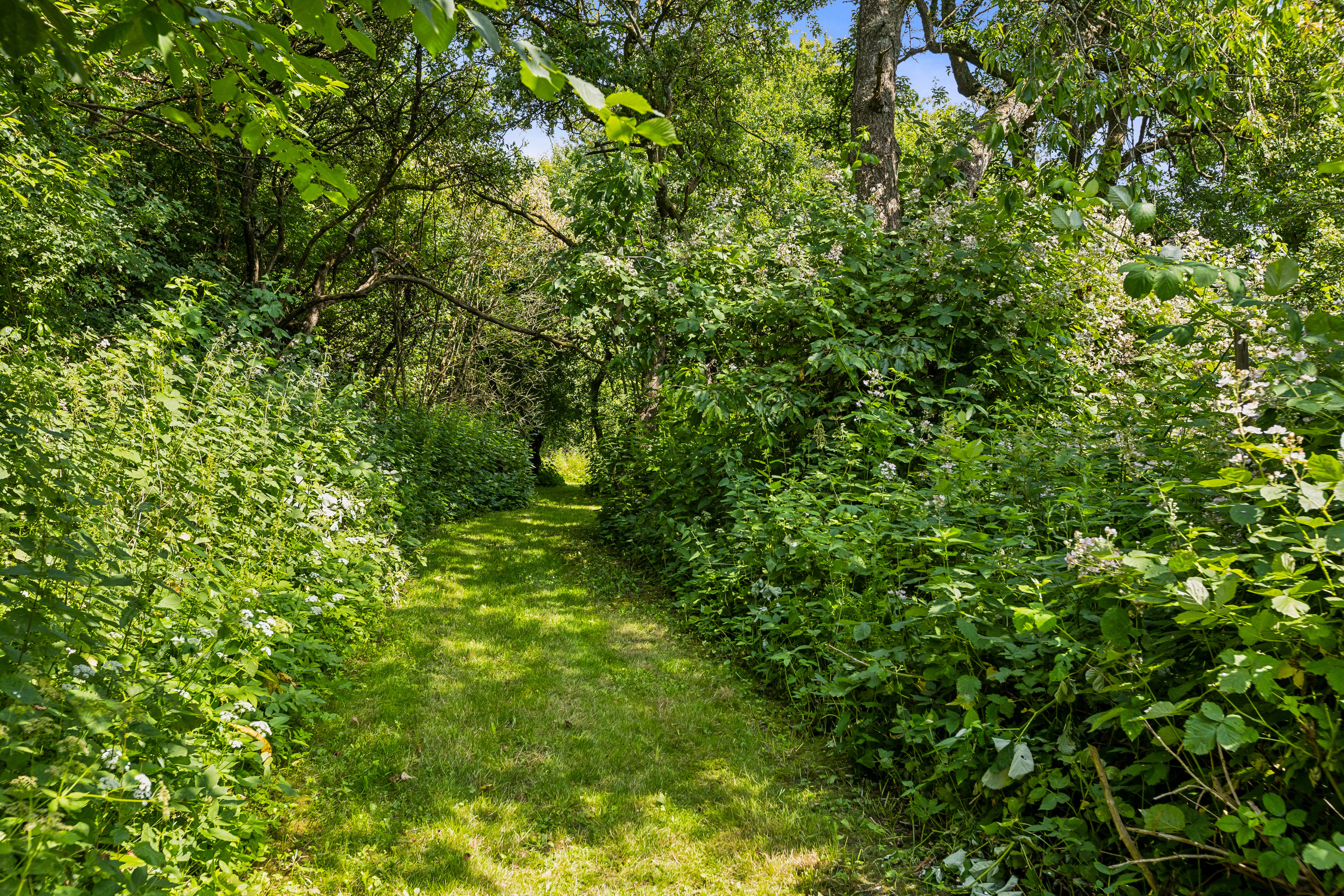 Fremhævet have billede i fuldskærmstilstand. Billede af Elmelundsvej 193, Ravnebjerg, 5250 Odense SV