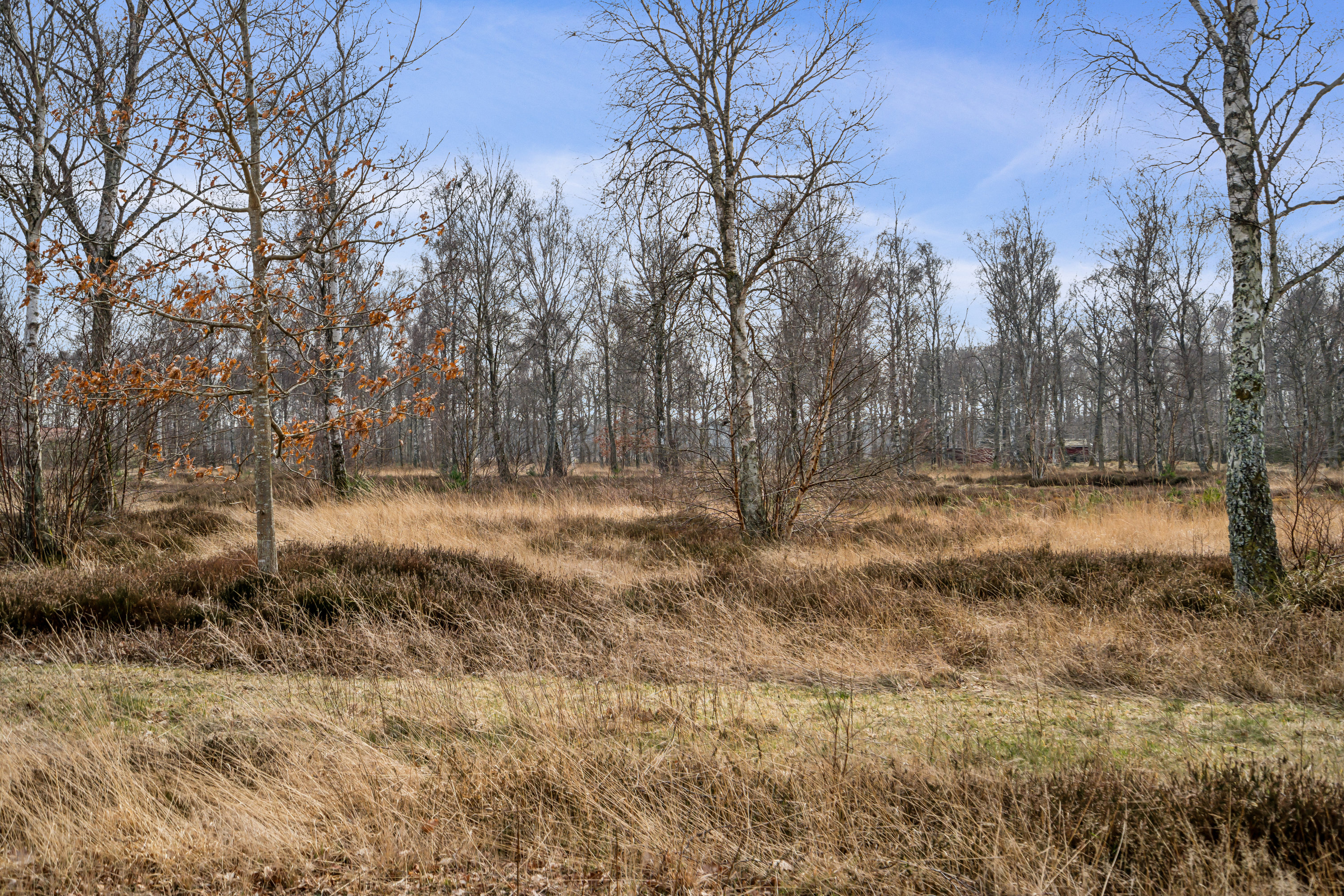 Fremhævet  billede i fuldskærmstilstand. Billede af Prof Johansens Vej 2A, 1., Seaside Feriehuse, 9940 Læsø