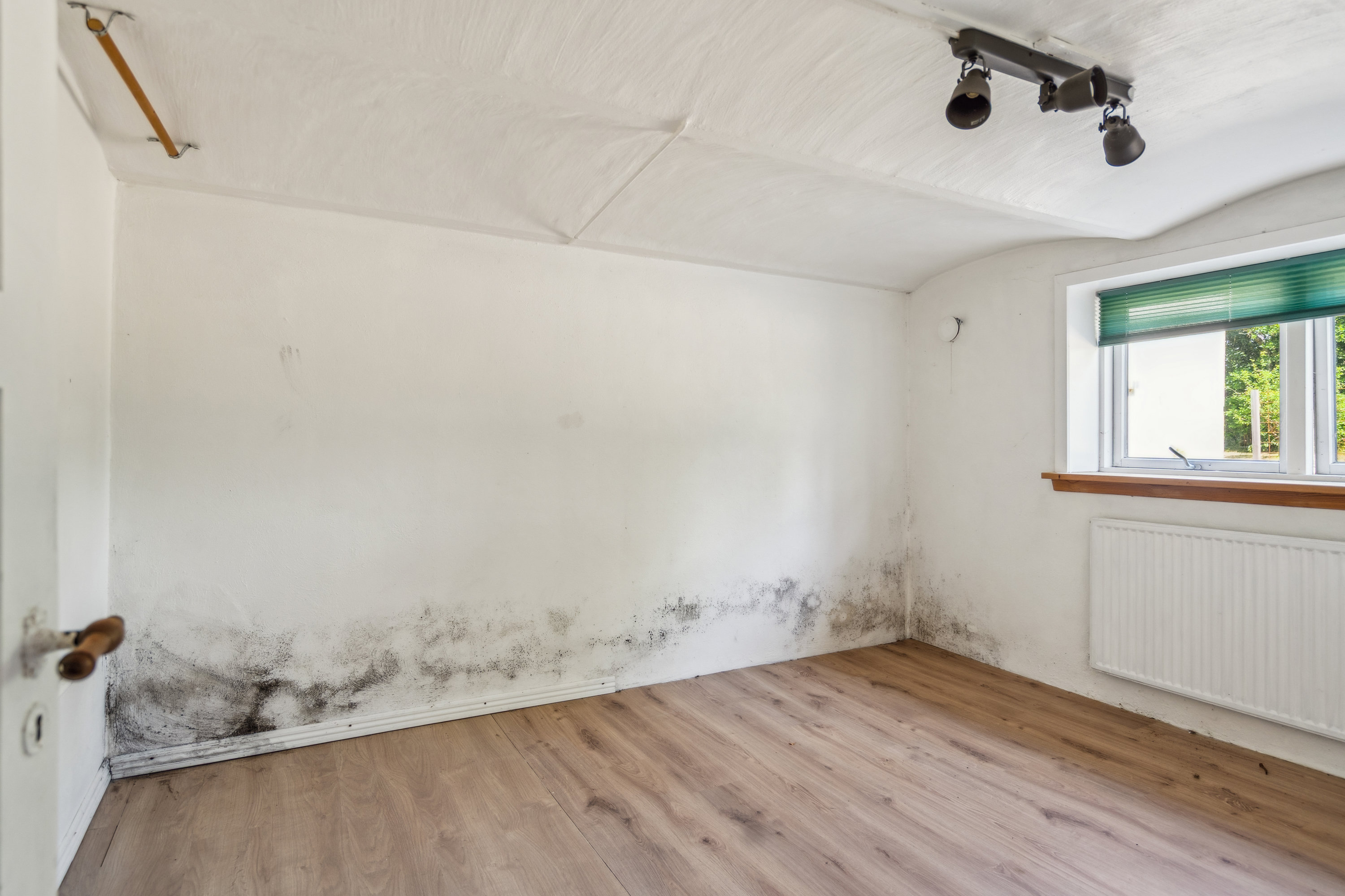 Fremhævet værelse billede i fuldskærmstilstand. Billede af Vesterø Havnegade 79, Vesterø Havn, 9940 Læsø