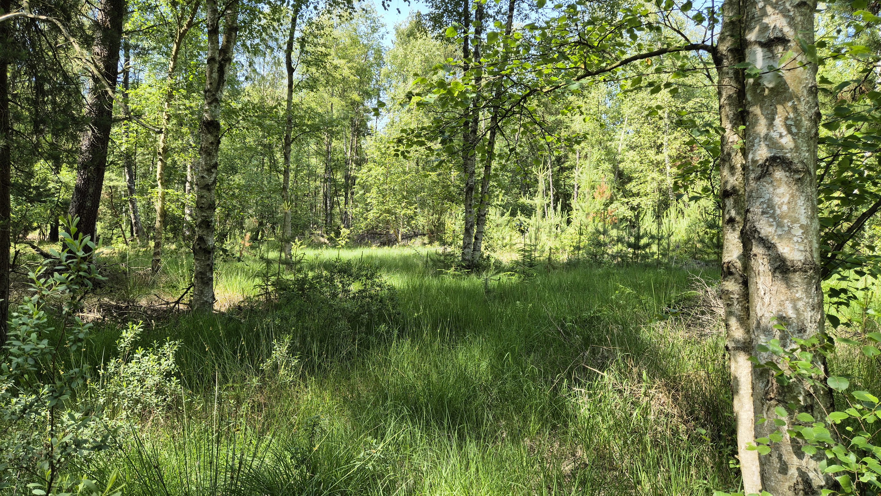 Miniaturebillede 2: . Billede af Blågranvej 20, Byrum, 9940 Læsø