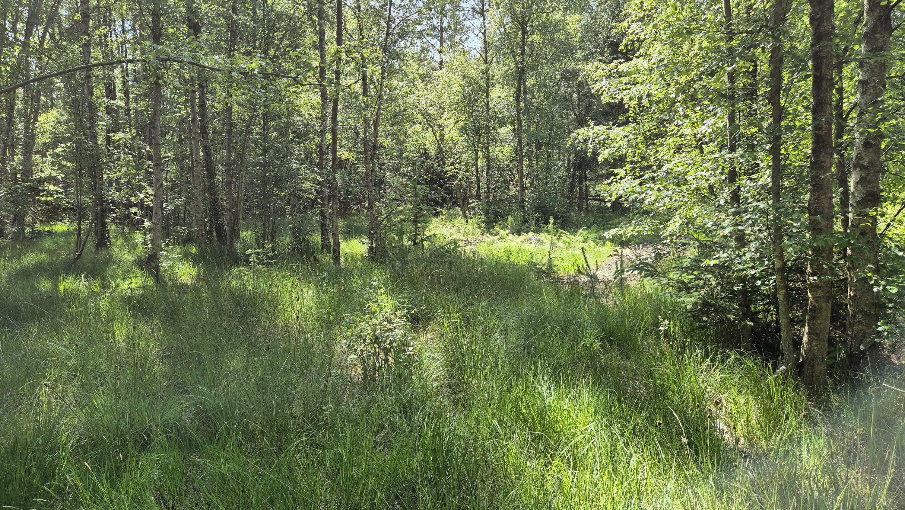 Fremhævet  billede i fuldskærmstilstand. Billede af Blågranvej 20, Byrum, 9940 Læsø