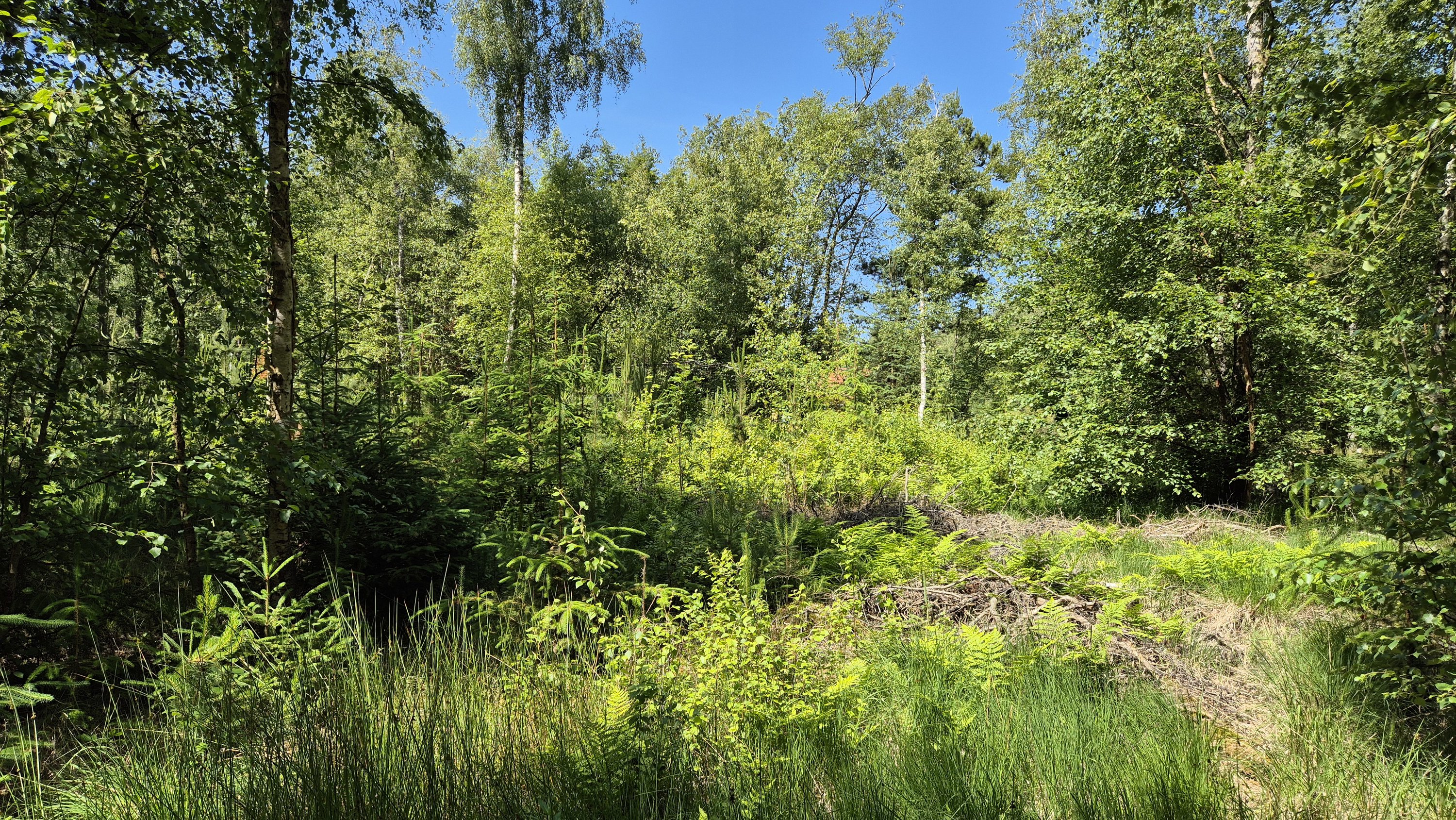 Miniaturebillede 1: . Billede af Blågranvej 20, Byrum, 9940 Læsø